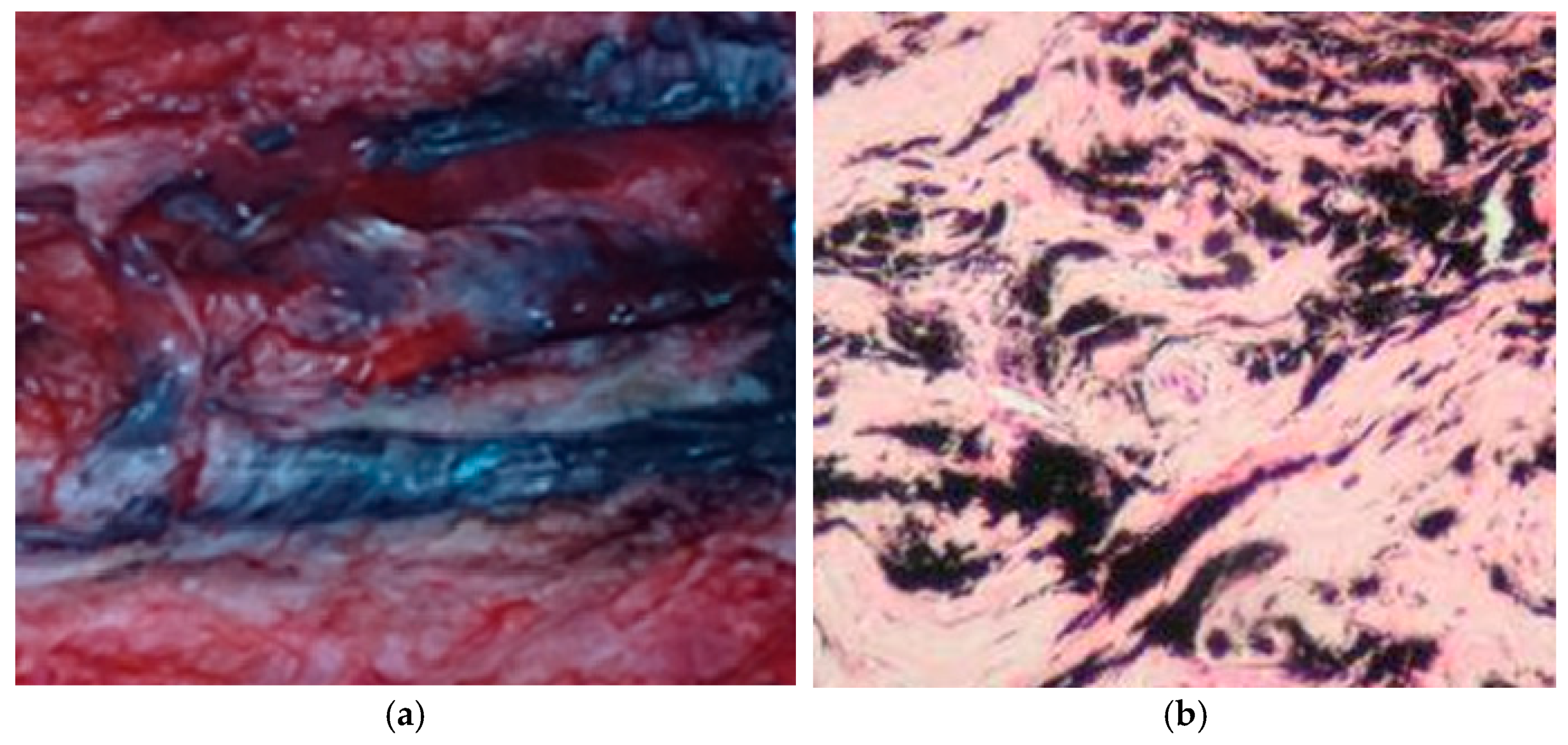 Molecules 26 02120 g004