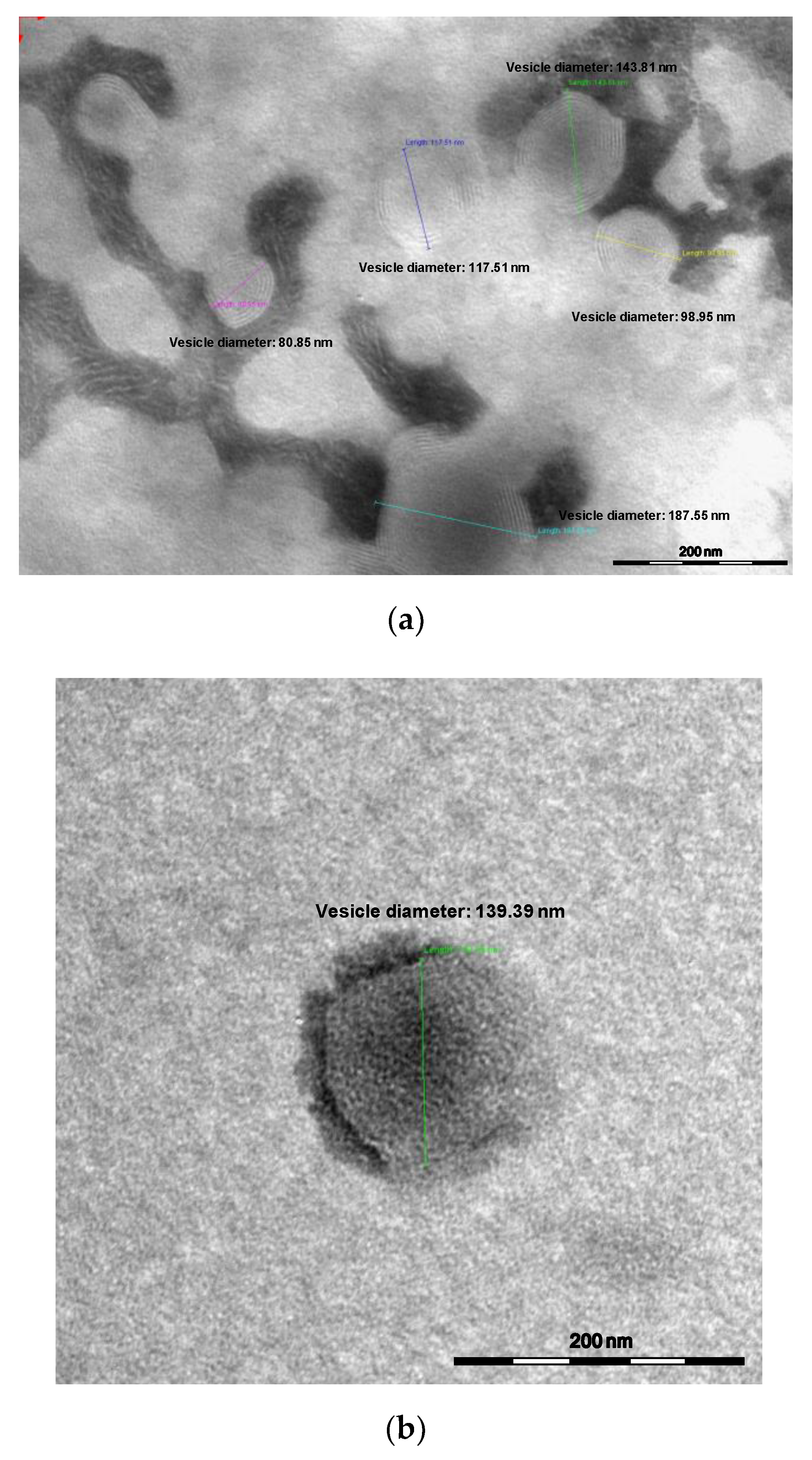 Molecules 26 02124 g001 Molecules 26 02124 g001