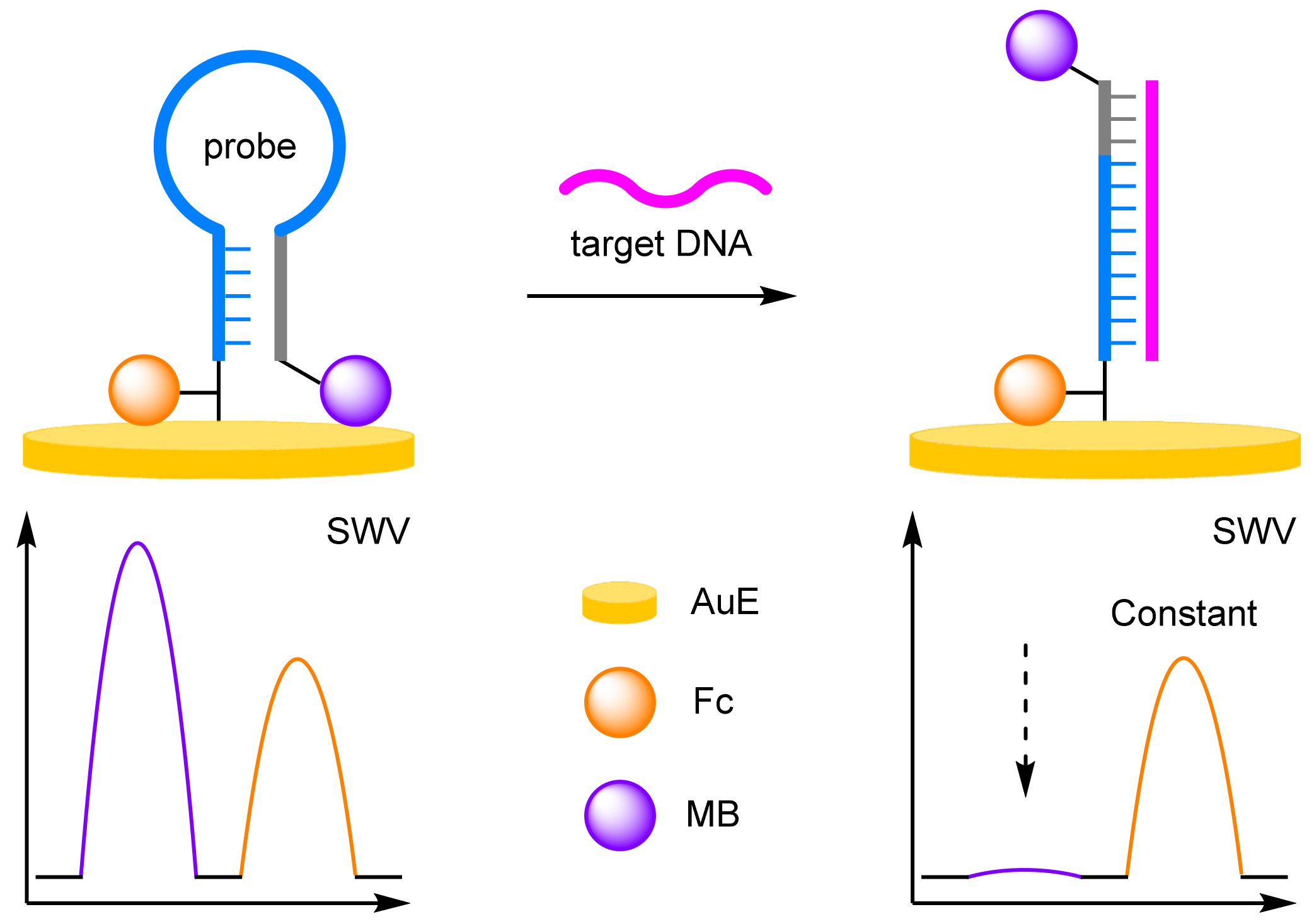 Molecules 26 02130 g002