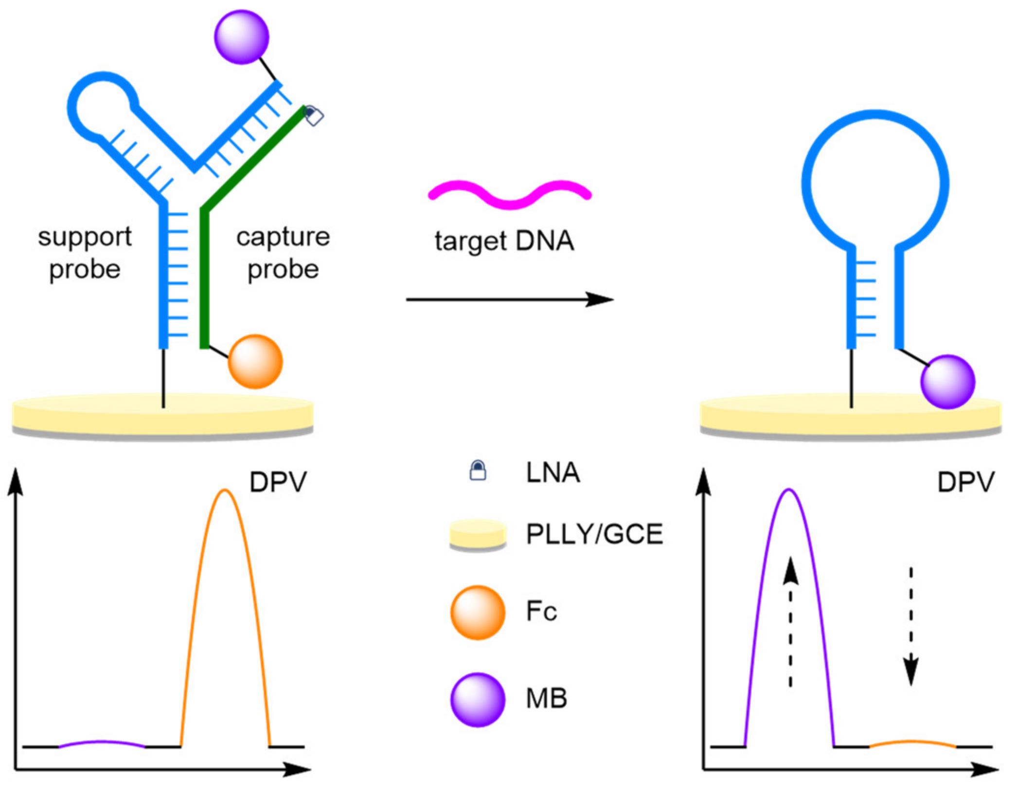 Molecules 26 02130 g011