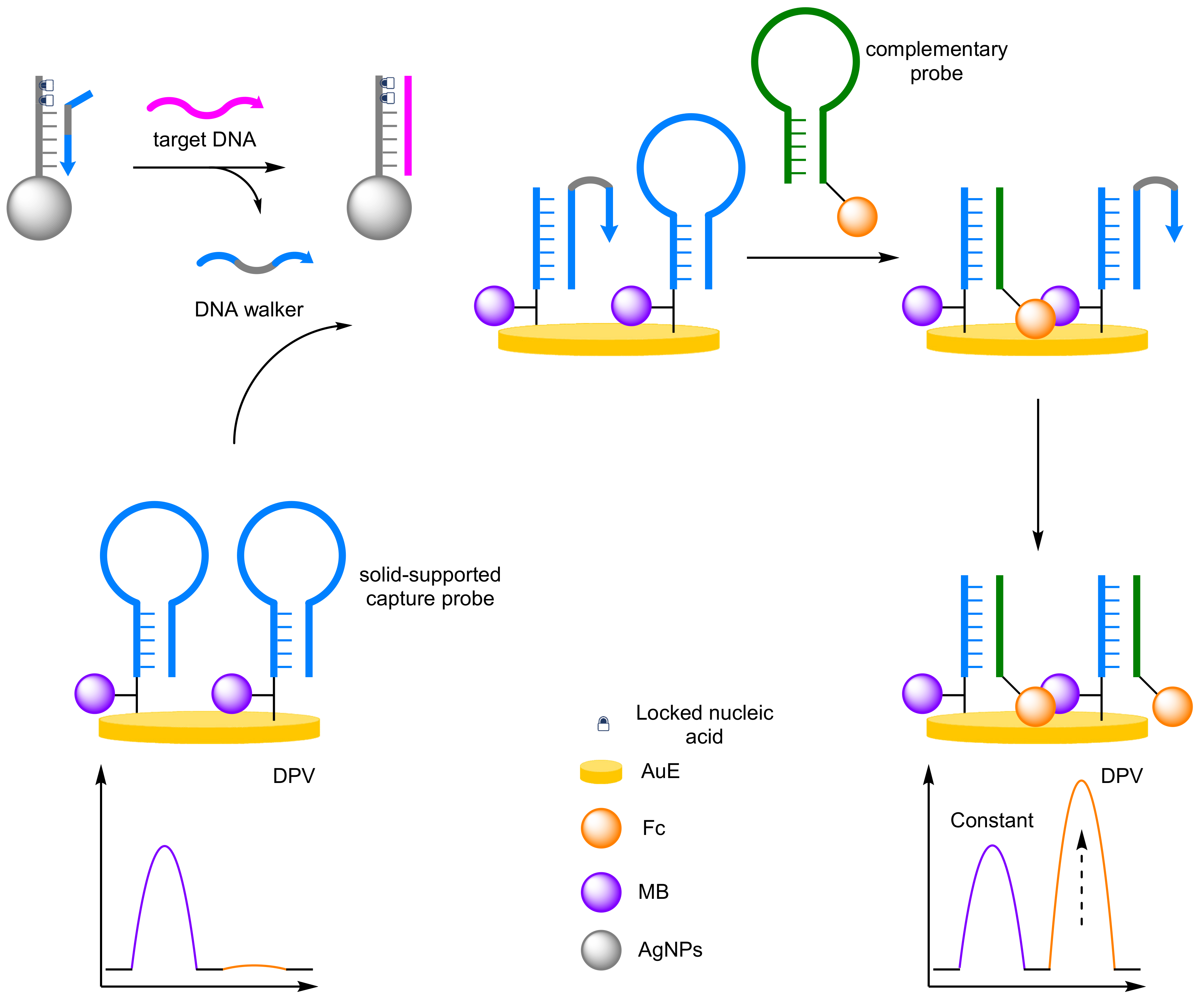 Molecules 26 02130 g021