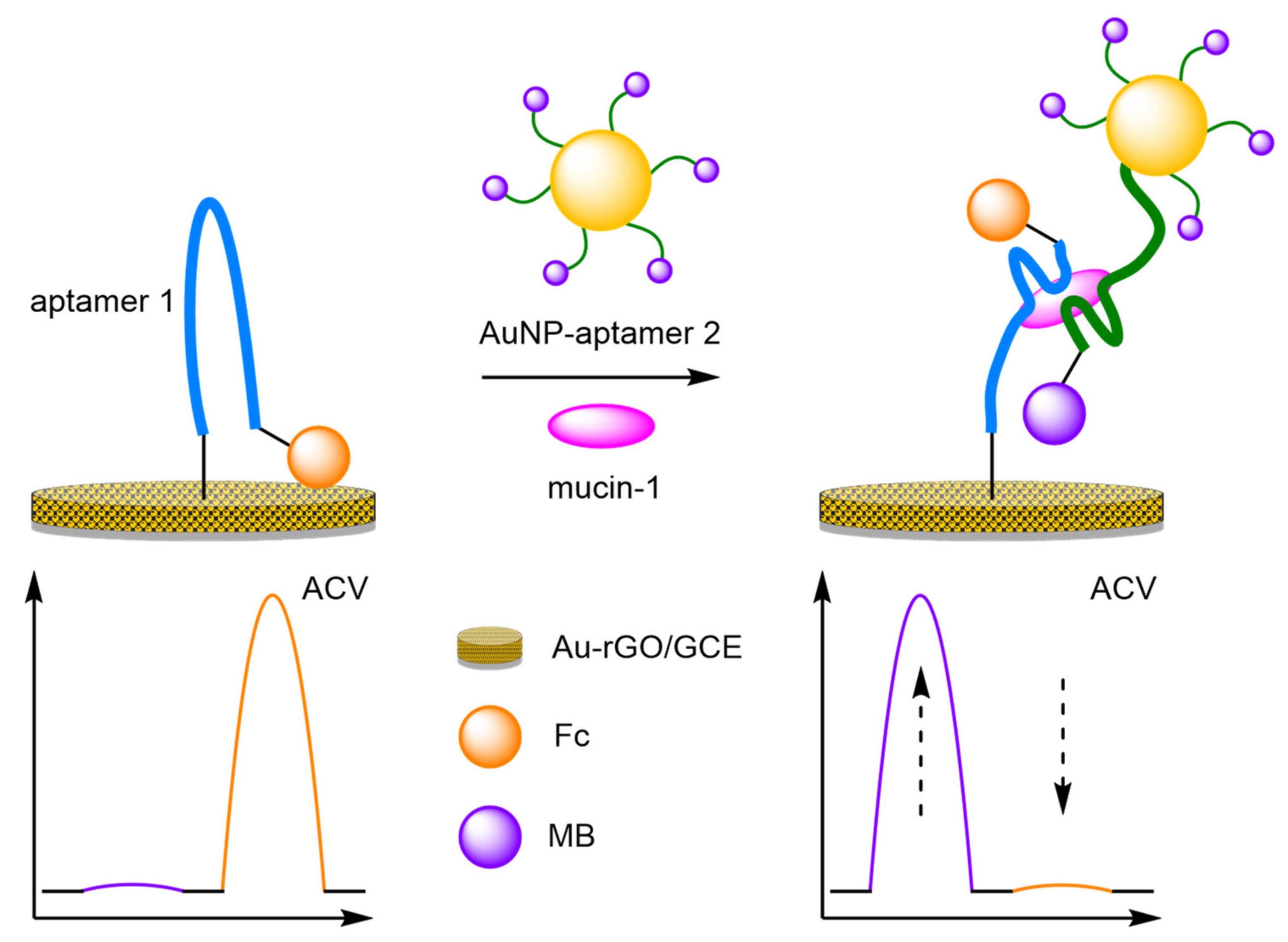 Molecules 26 02130 g022