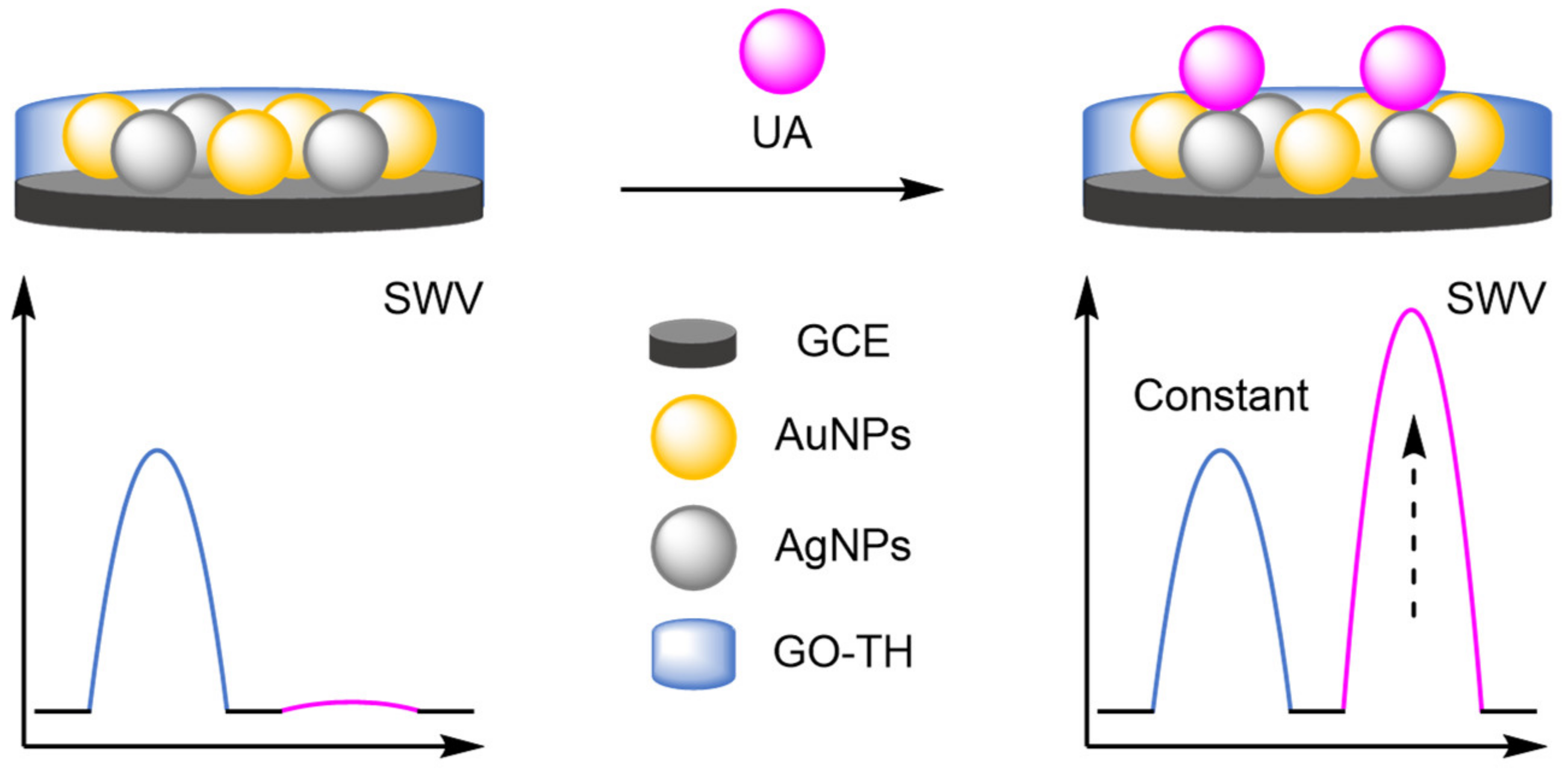 Molecules 26 02130 g028
