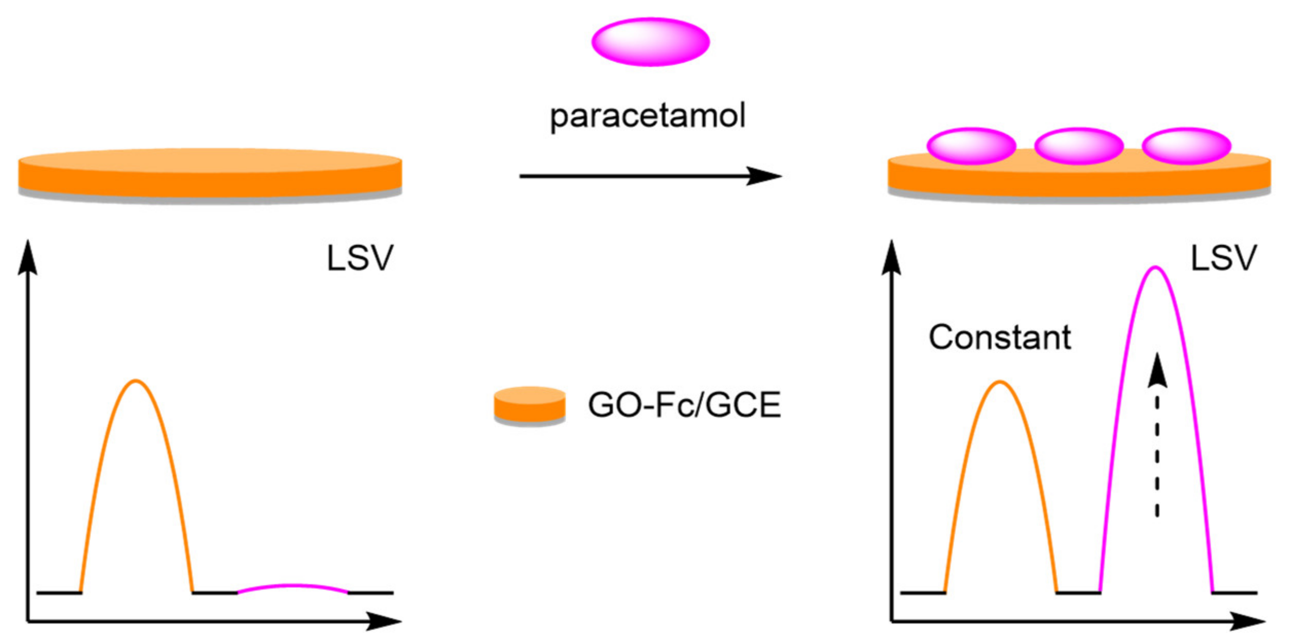 Molecules 26 02130 g031