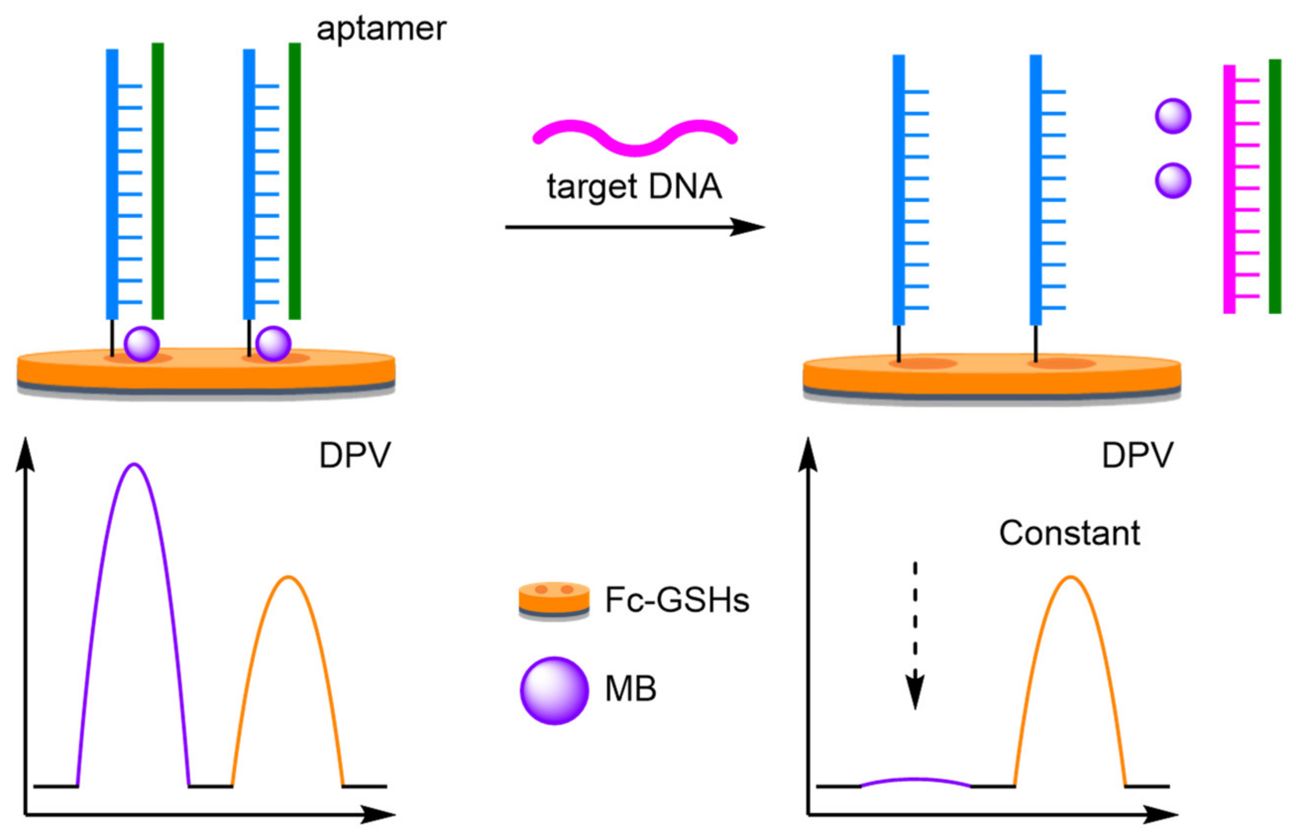 Molecules 26 02130 g035