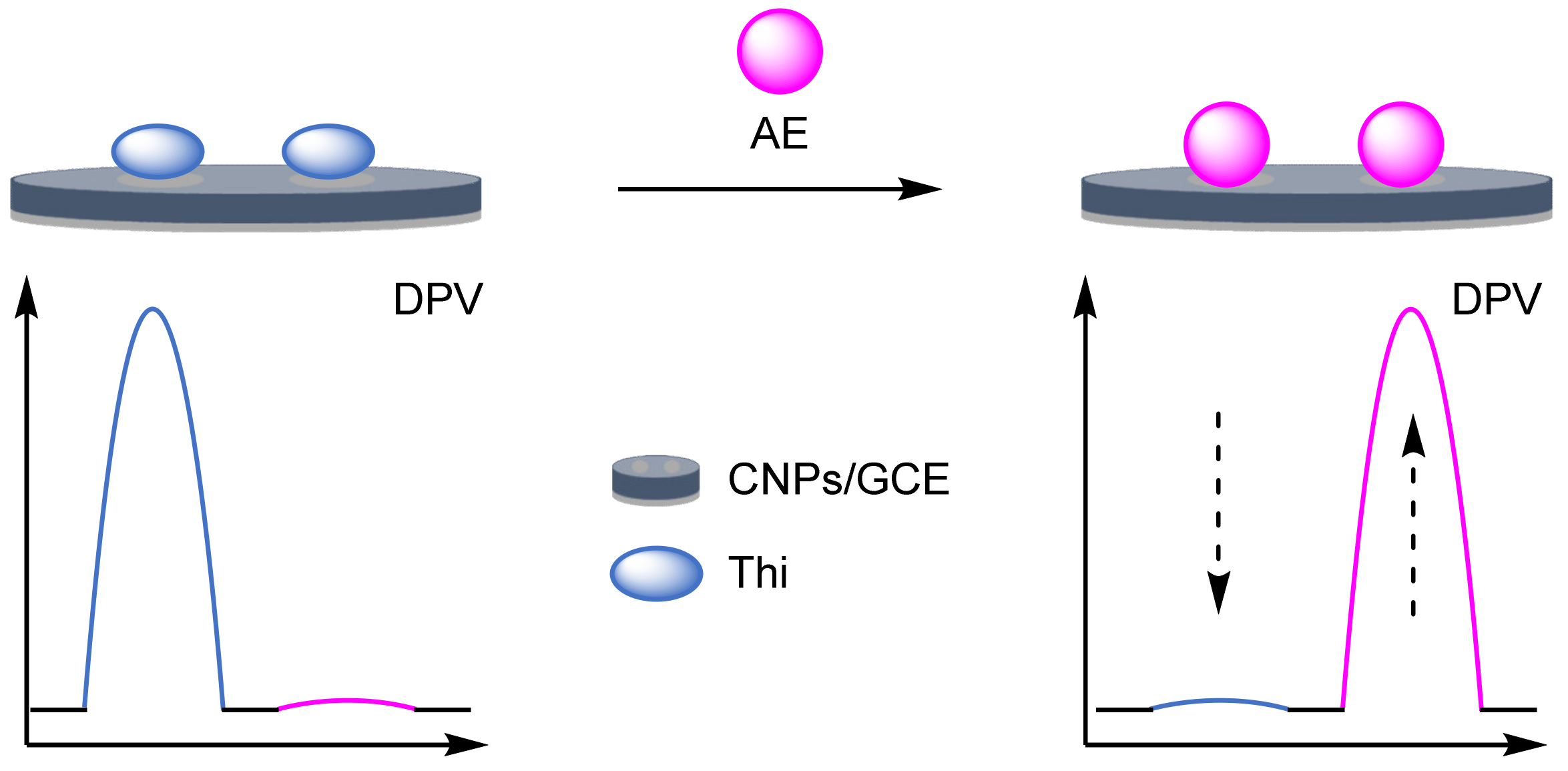 Molecules 26 02130 g041