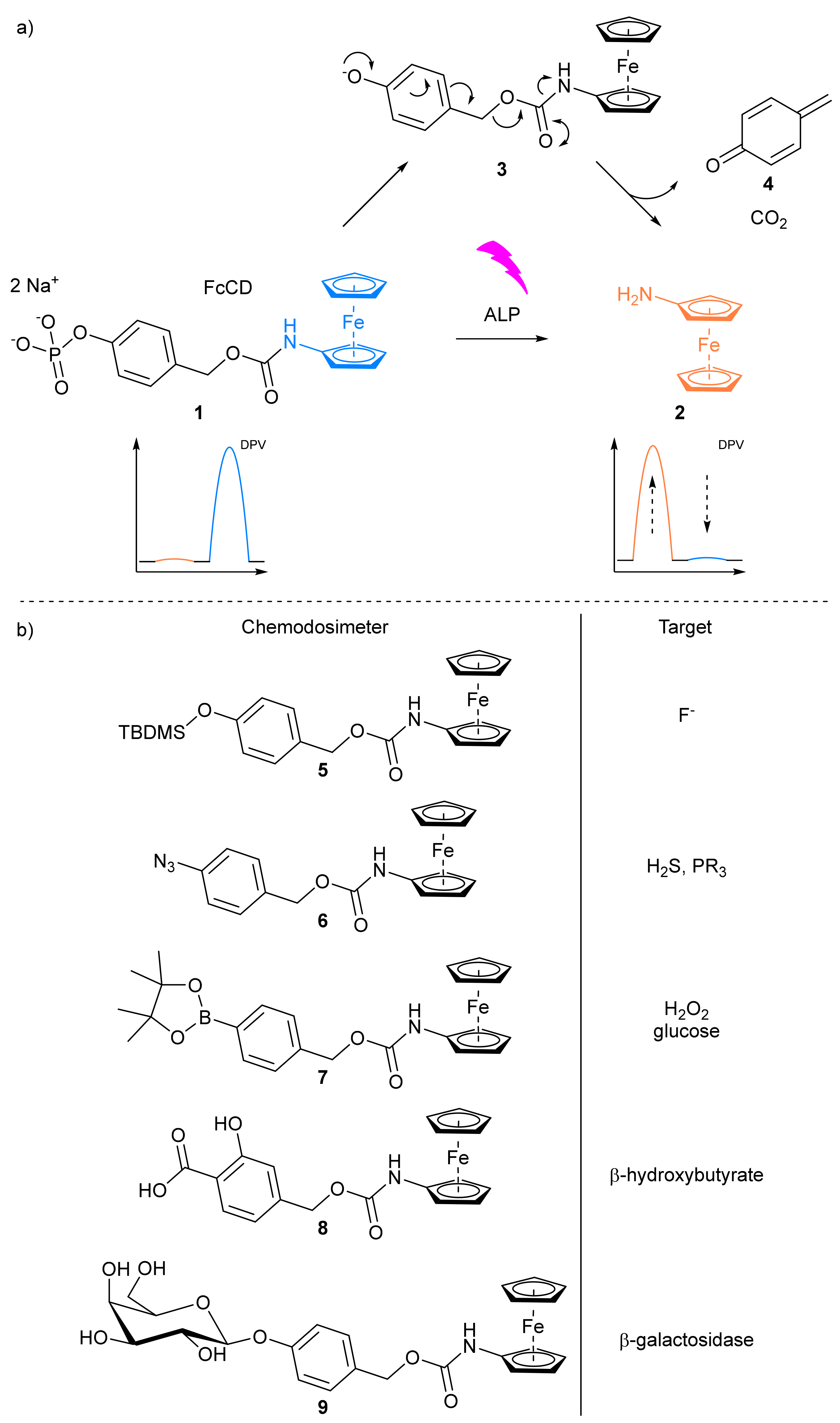 Molecules 26 02130 g047