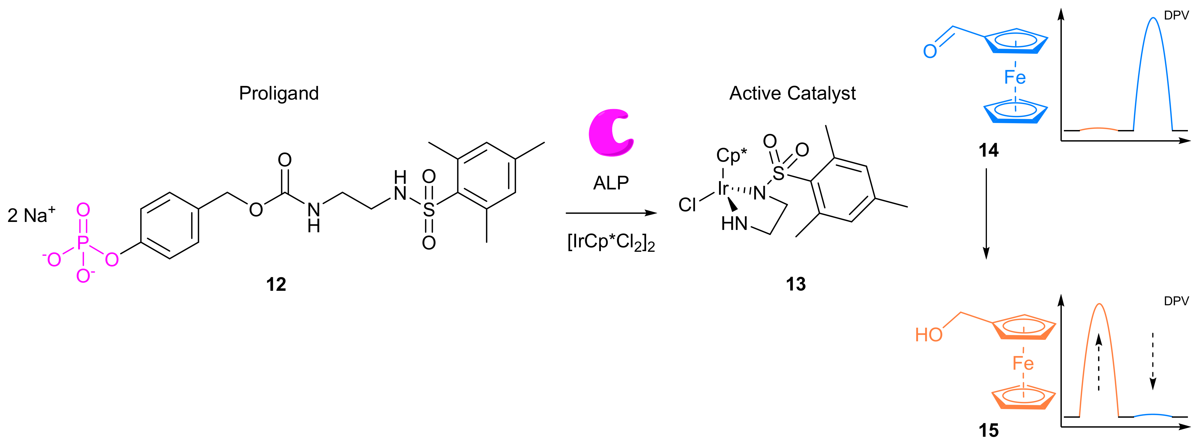 Molecules 26 02130 g049