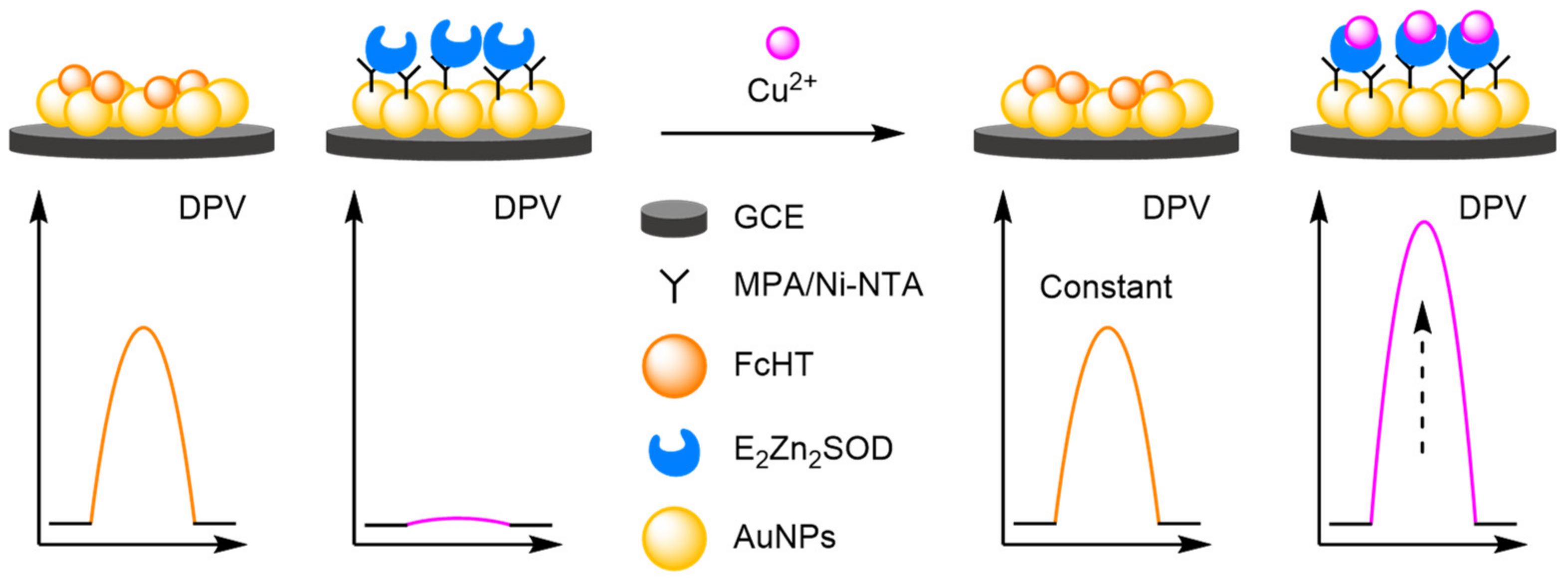 Molecules 26 02130 g050