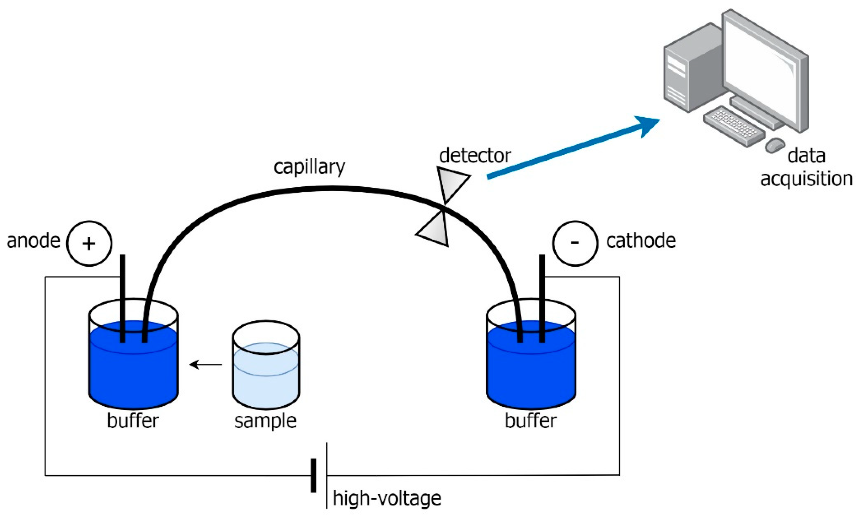Molecules Free FullText Application of Capillary Electrophoresis