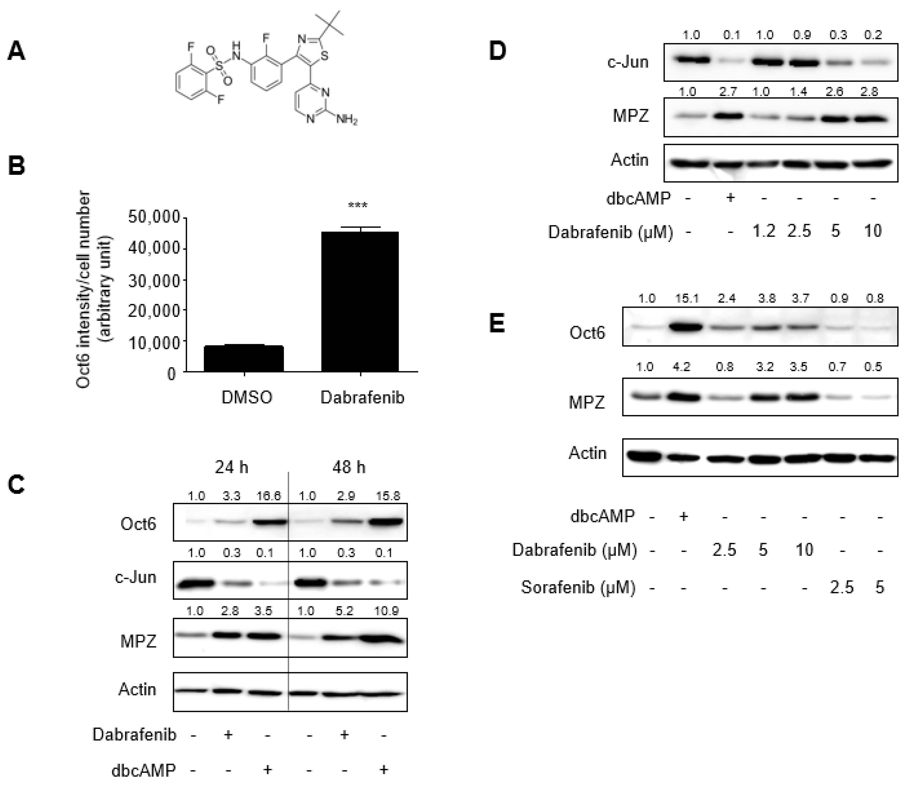 Molecules 26 02141 g001