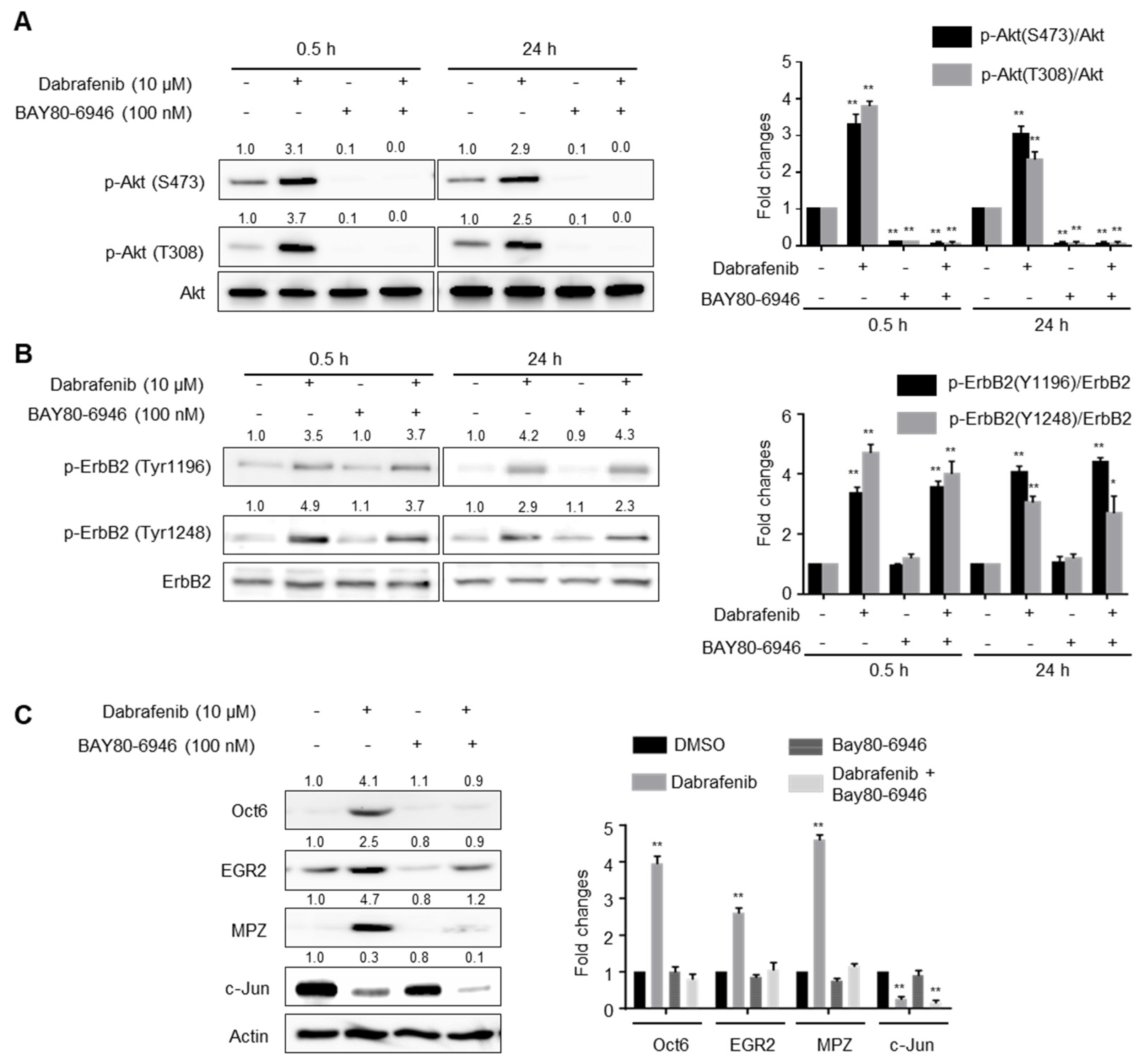 Molecules 26 02141 g003