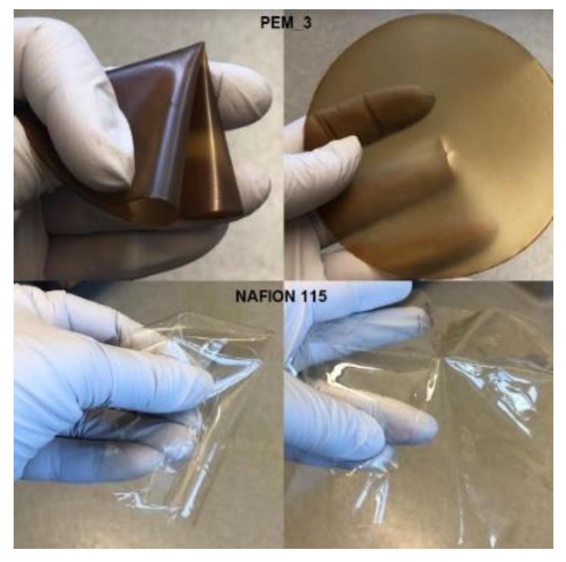 Molecules 26 02143 g002 Molecules 26 02143 g002