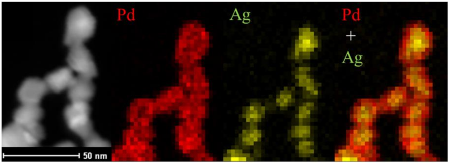 Molecules 26 02144 g002 Molecules 26 02144 g002