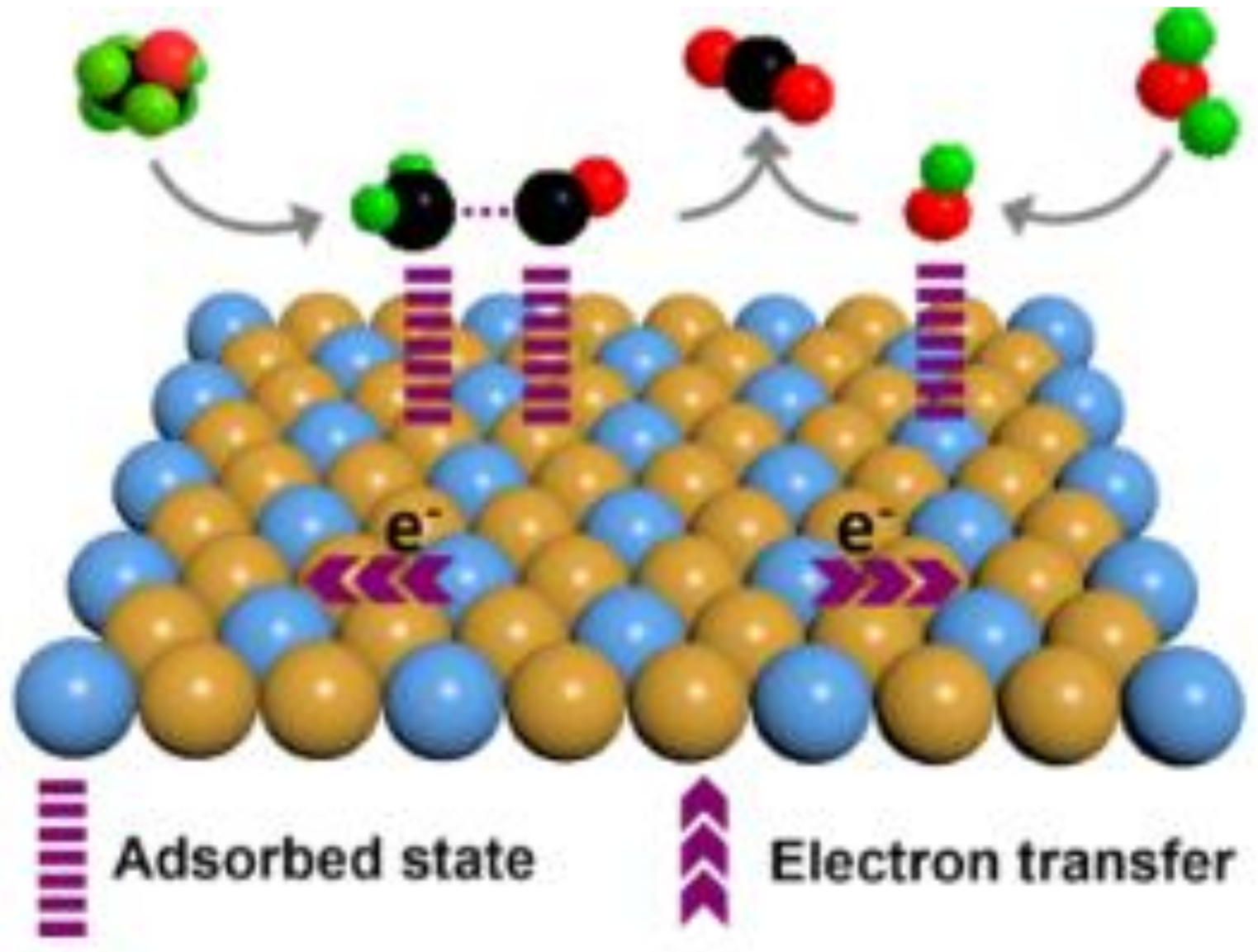 Molecules 26 02144 g005 Molecules 26 02144 g005