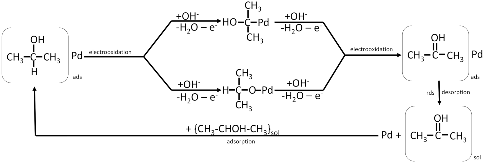 Molecules 26 02144 g008 Molecules 26 02144 g008