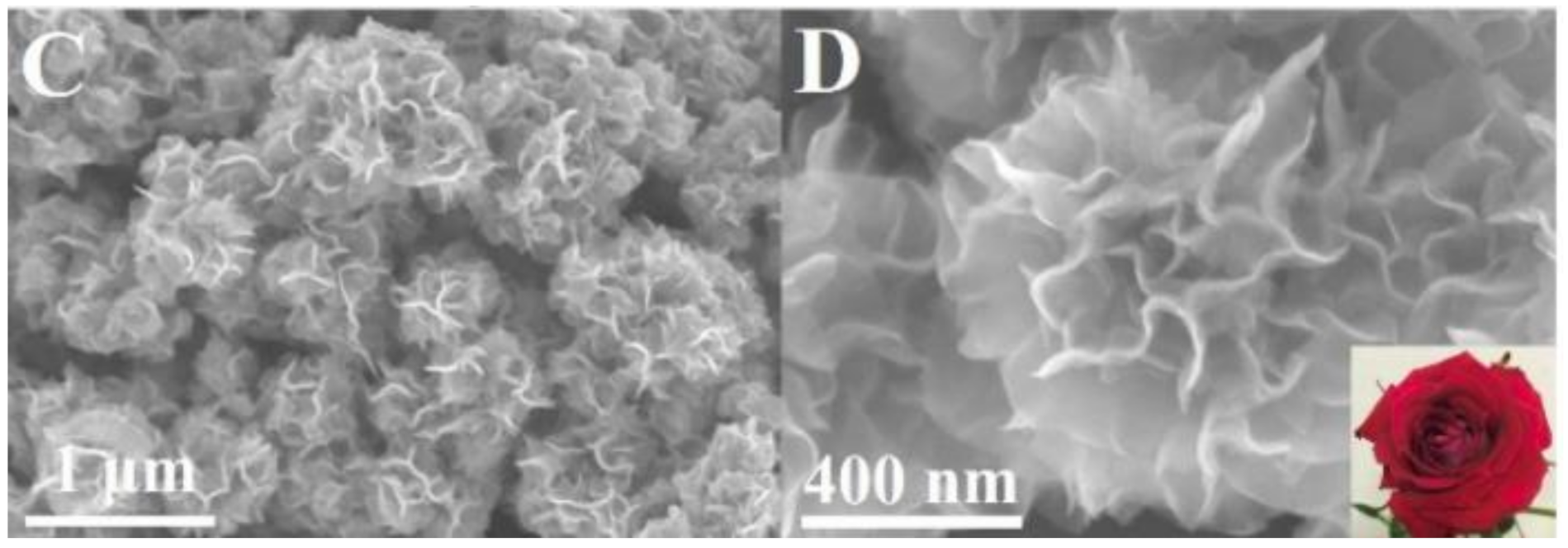 Molecules 26 02144 g009 Molecules 26 02144 g009