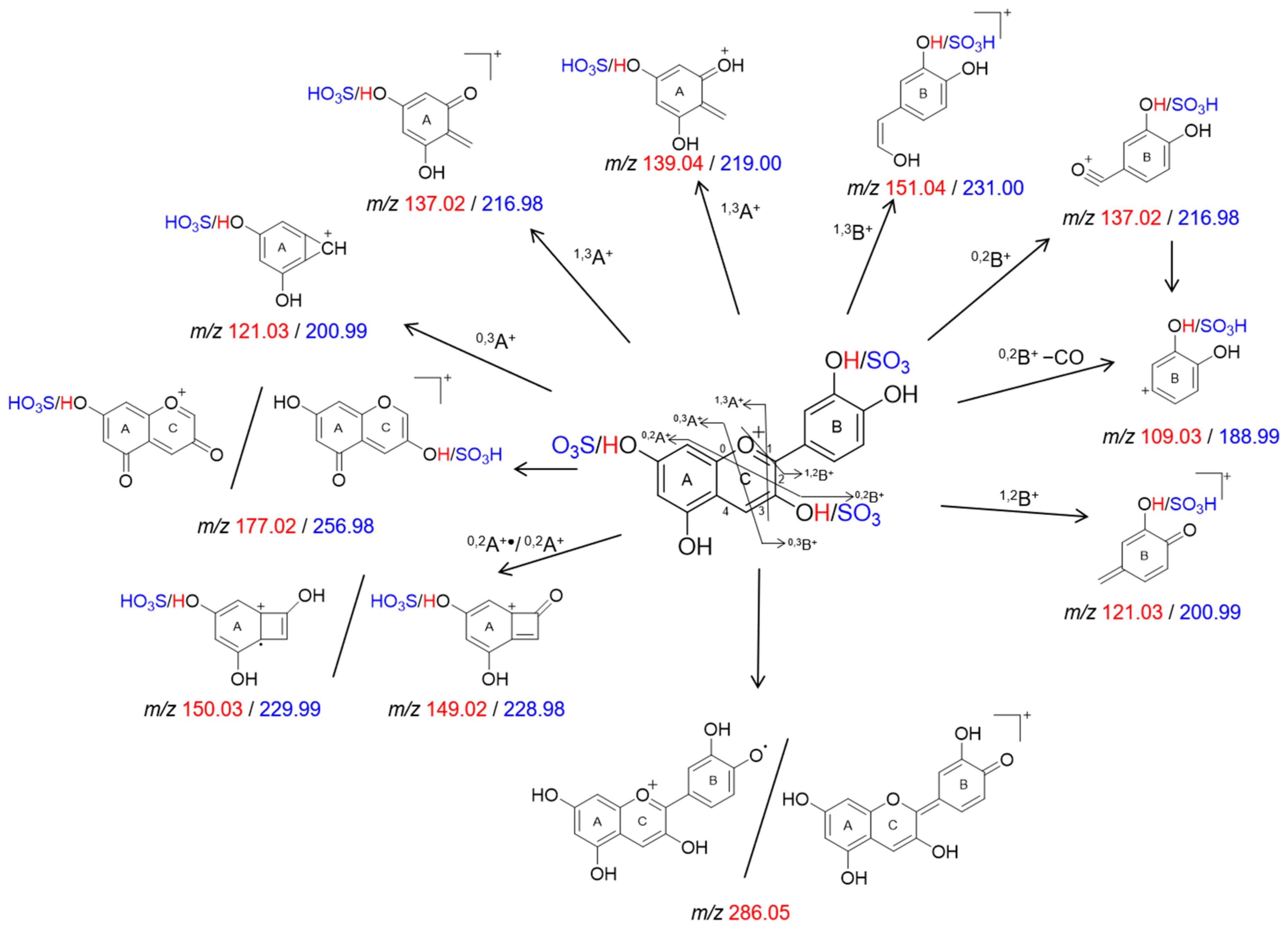 Molecules 26 02146 g003