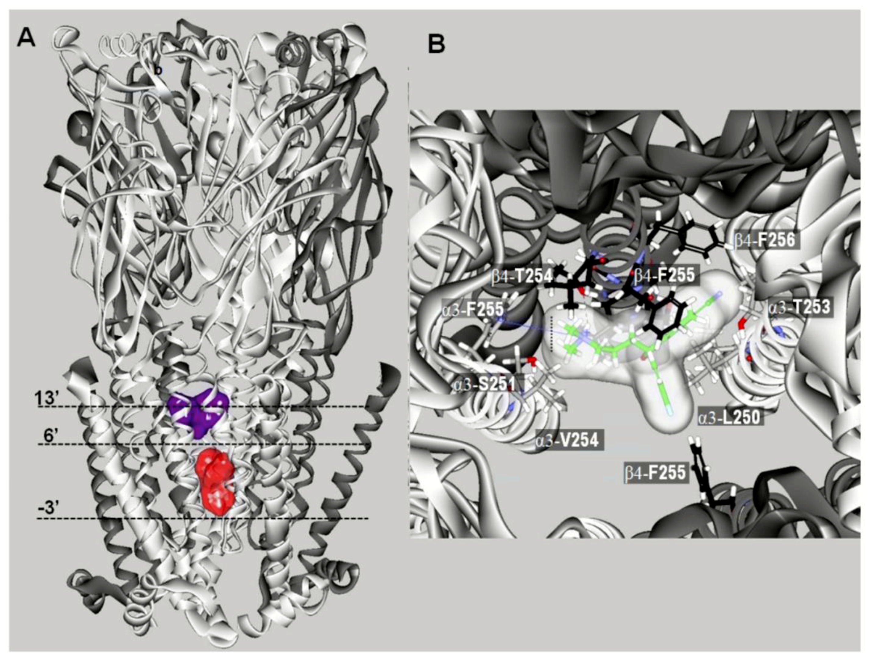 Molecules 26 02149 g004 Molecules 26 02149 g004