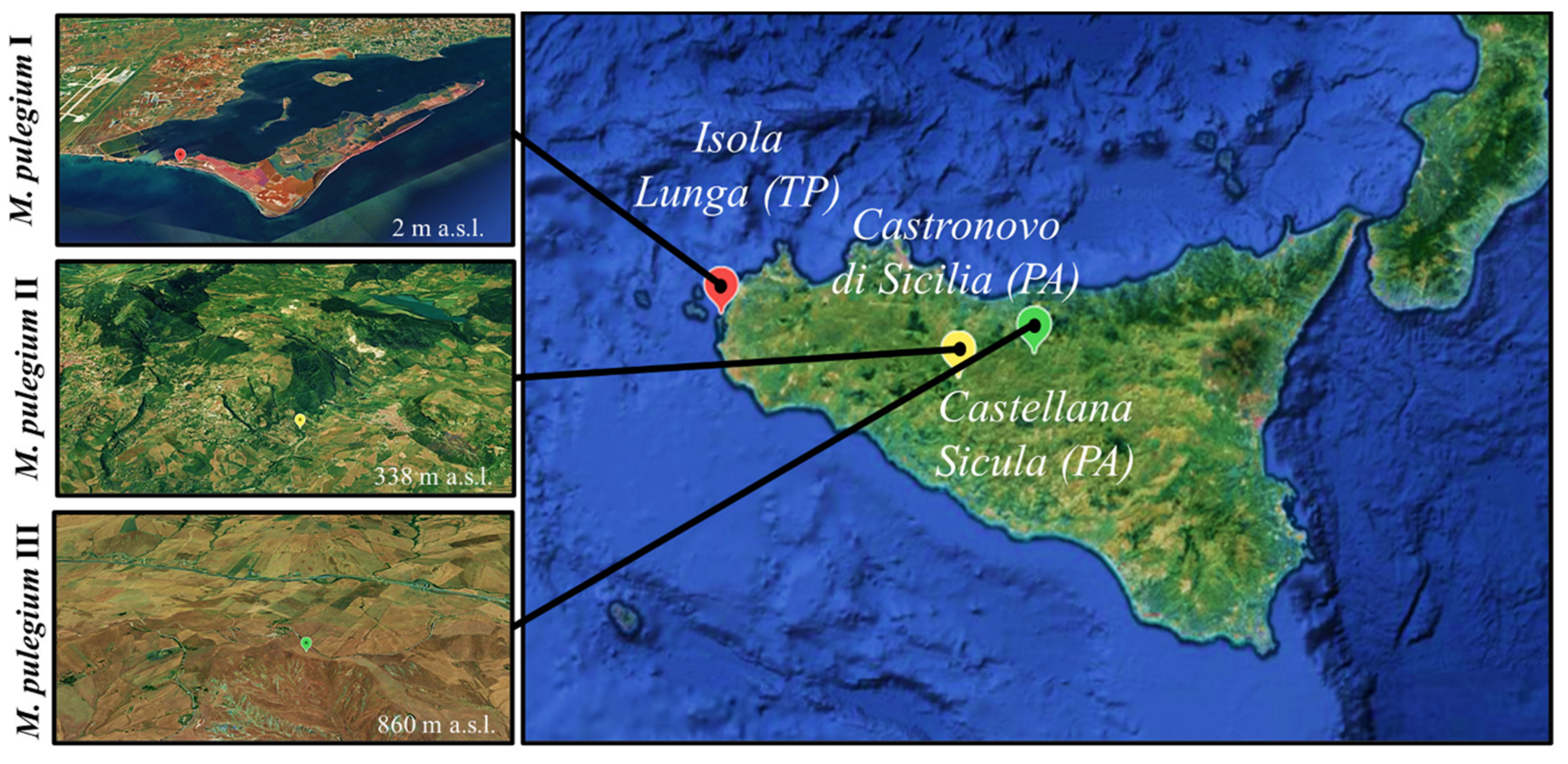 Molecules 26 02154 g001 Molecules 26 02154 g001
