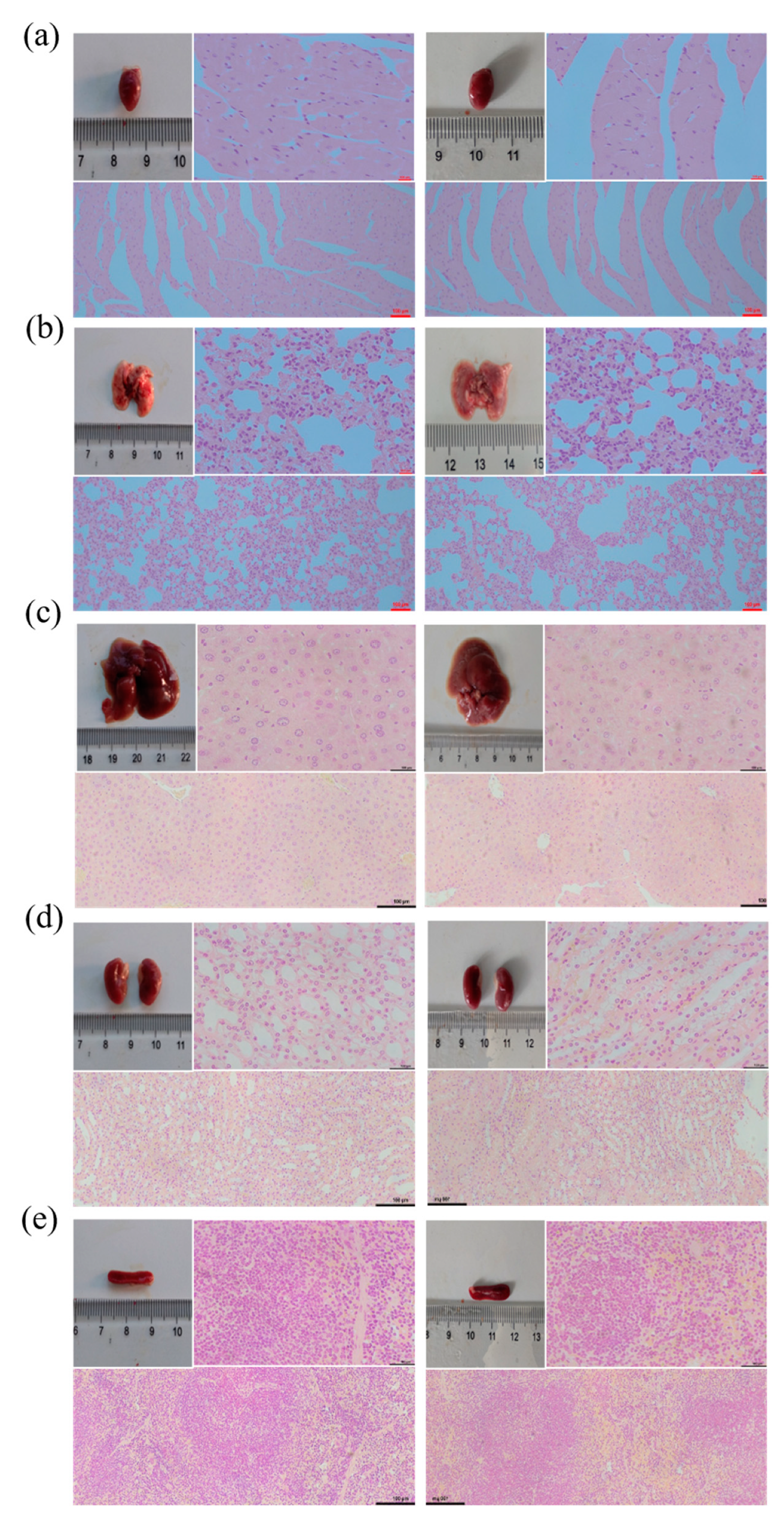 Molecules 26 02156 g004