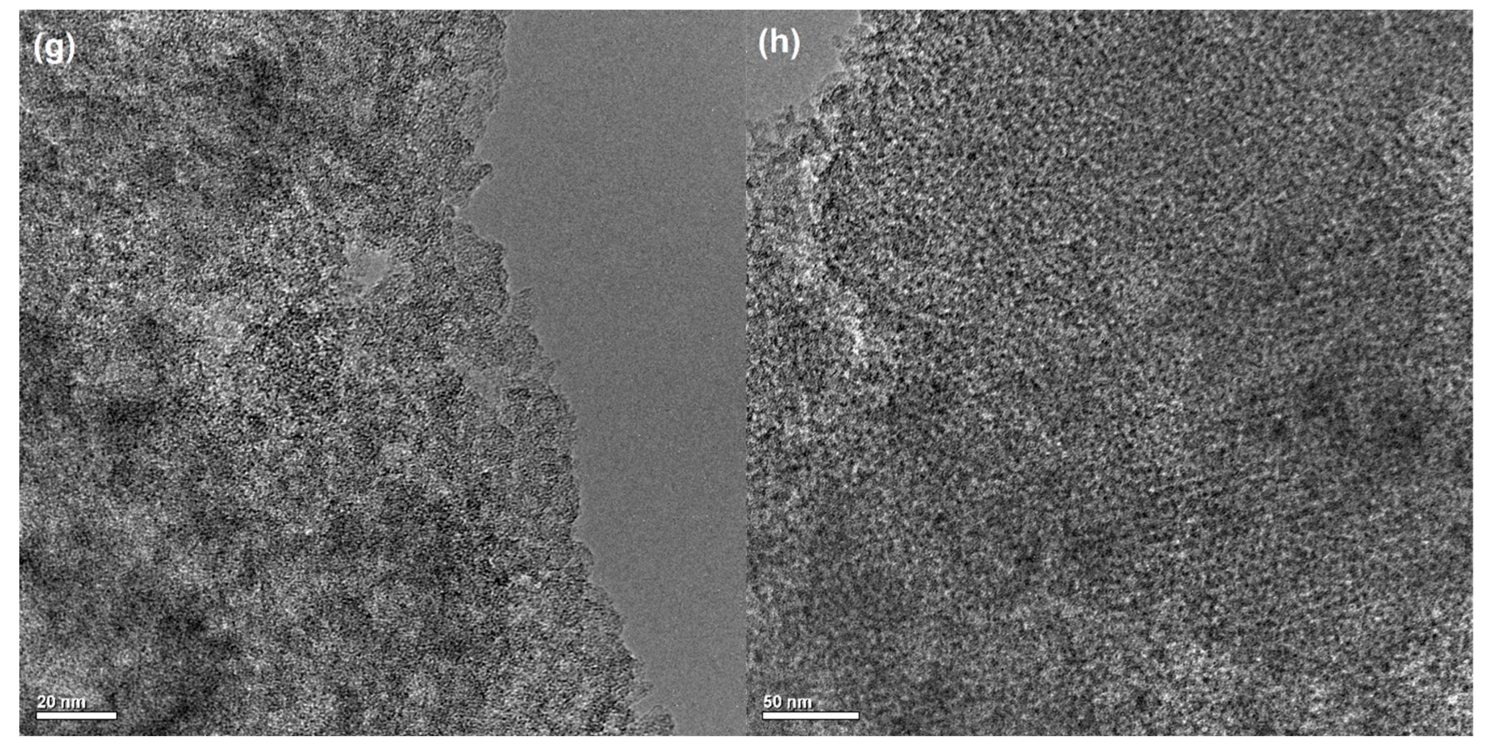 Molecules 26 02159 g004b