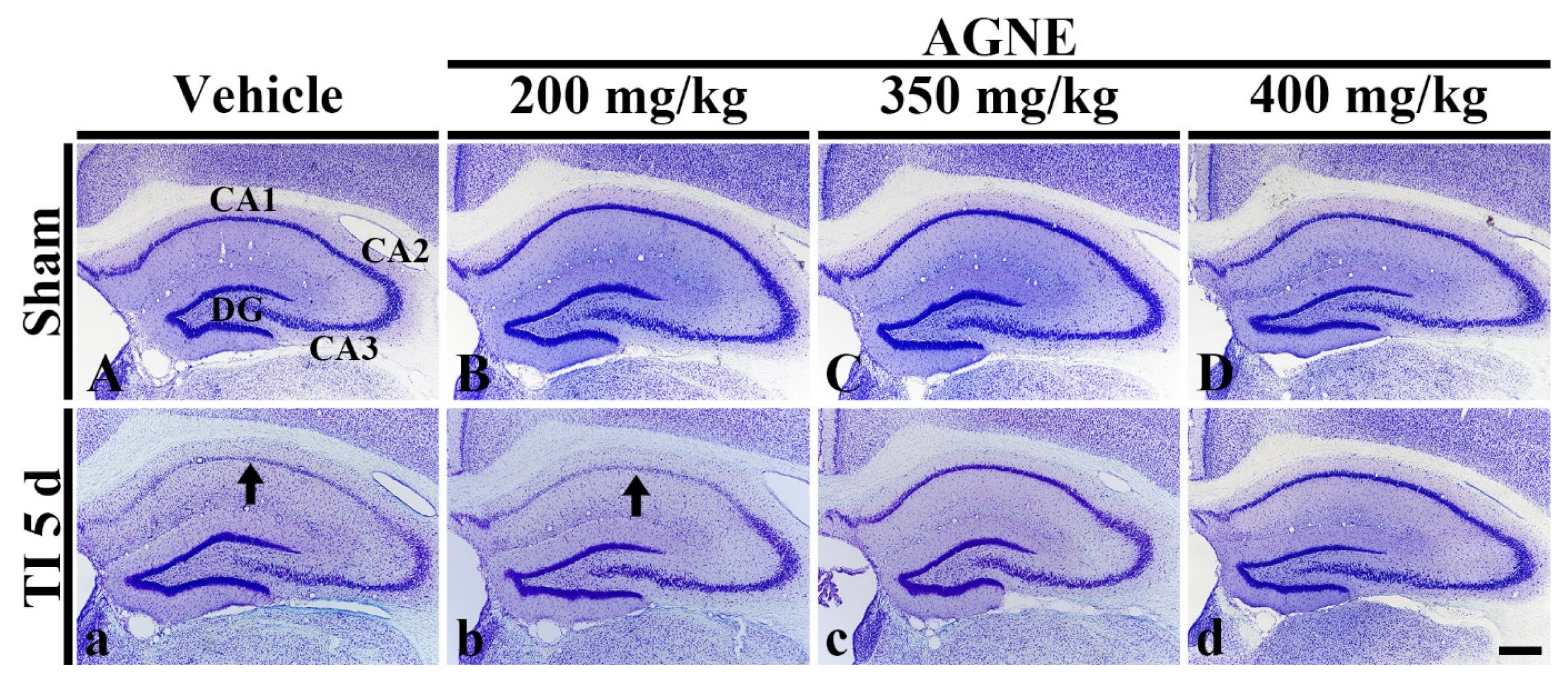 Molecules 26 02161 g003