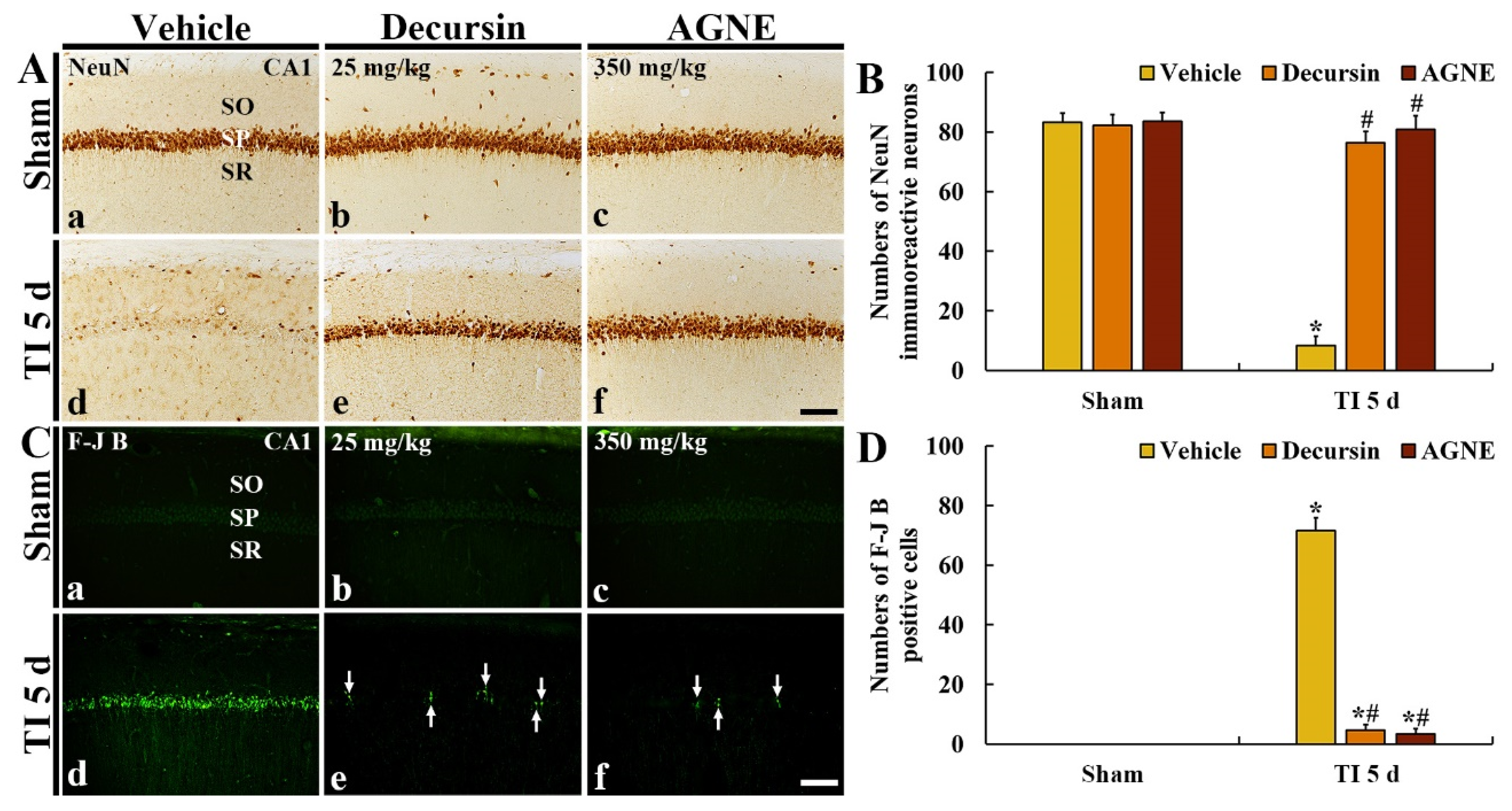 Molecules 26 02161 g005