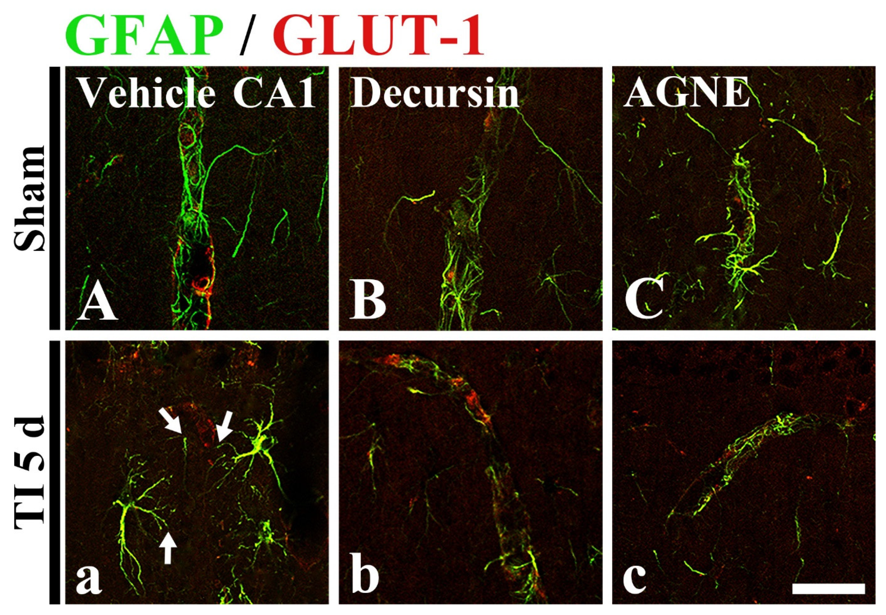 Molecules 26 02161 g007