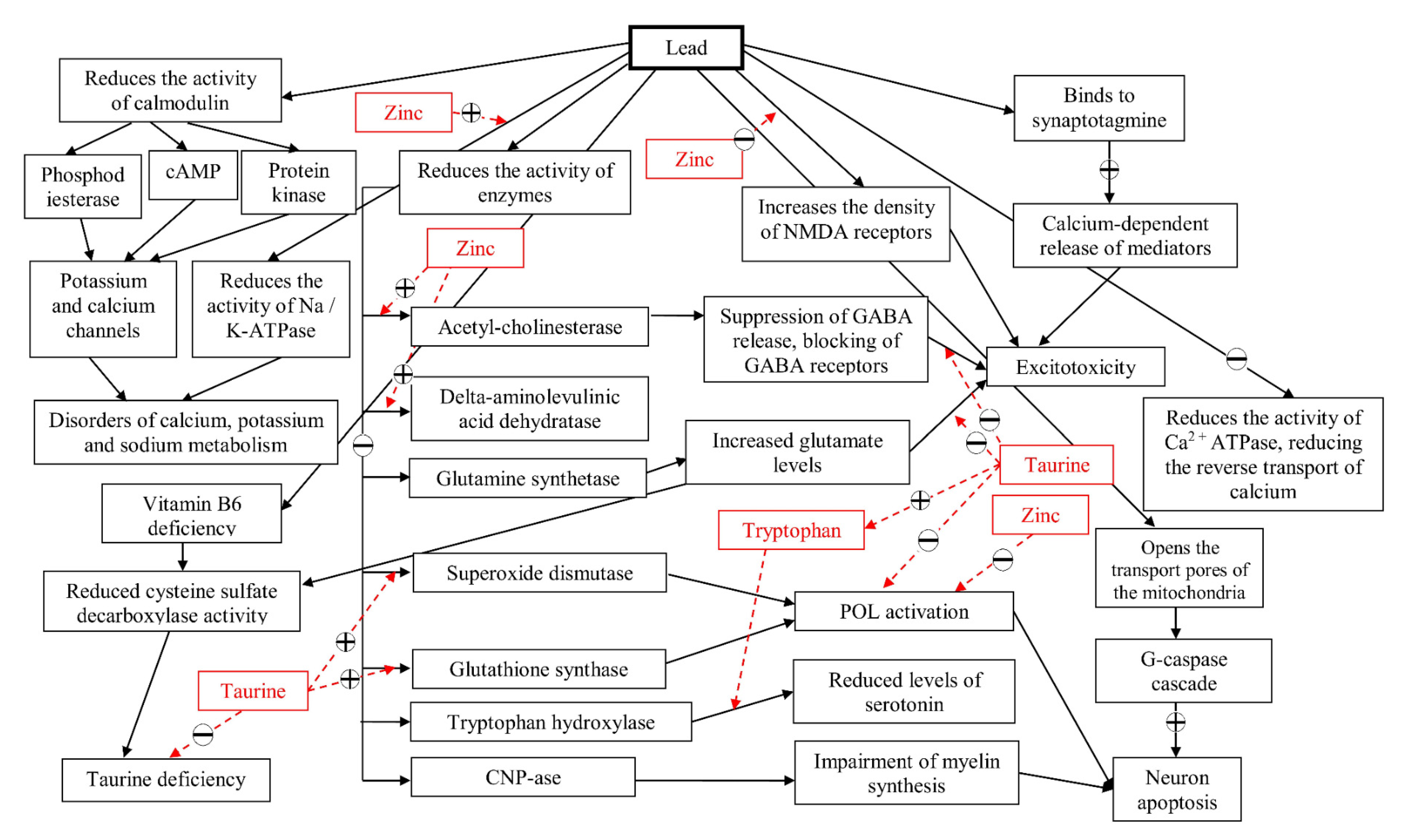 Molecules 26 02163 g005
