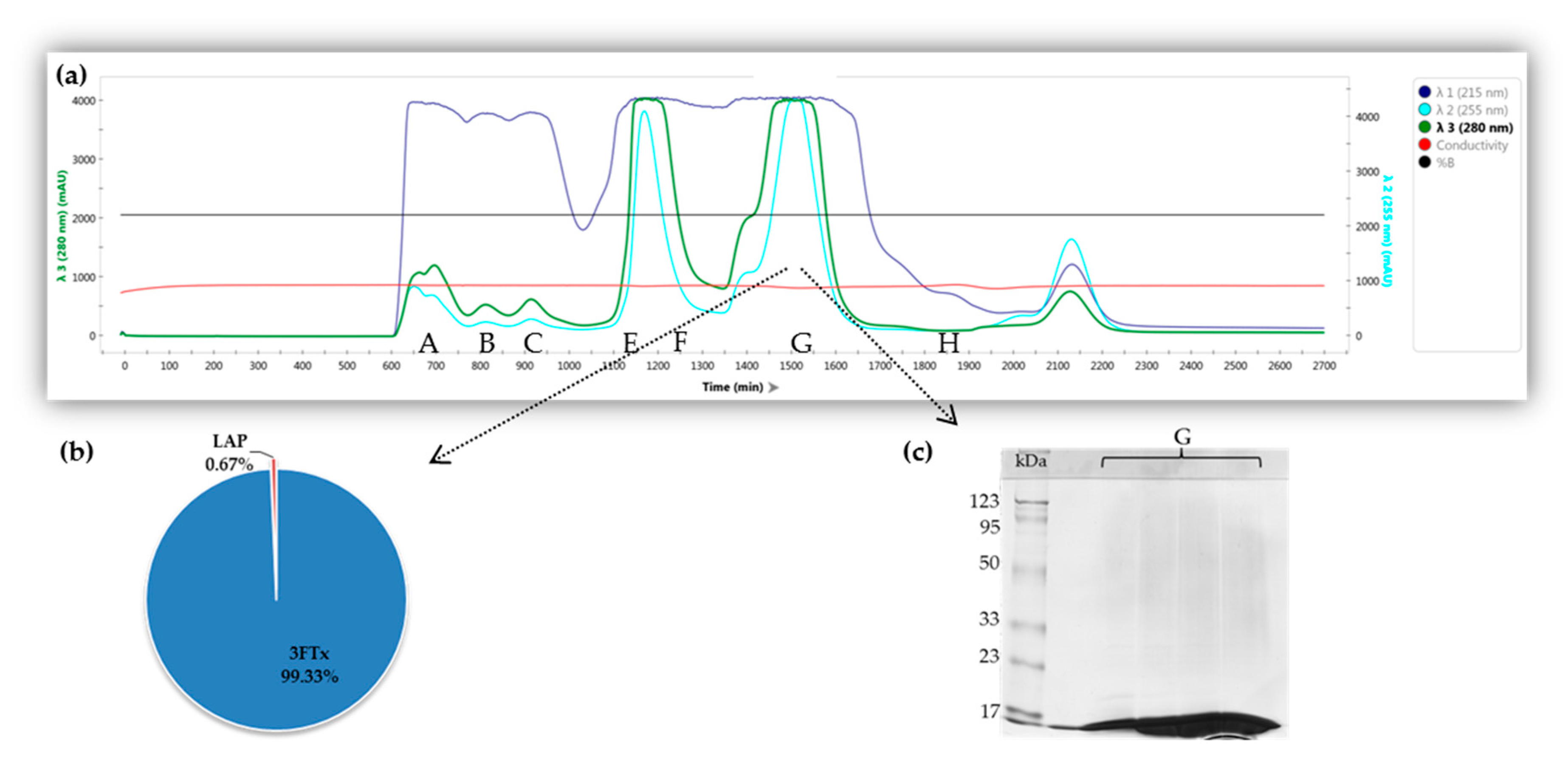 Molecules 26 02164 g001 Molecules 26 02164 g001