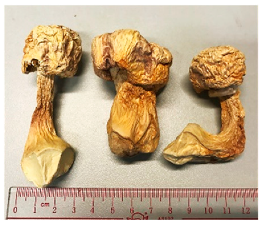 Molecules 26 02173 i001