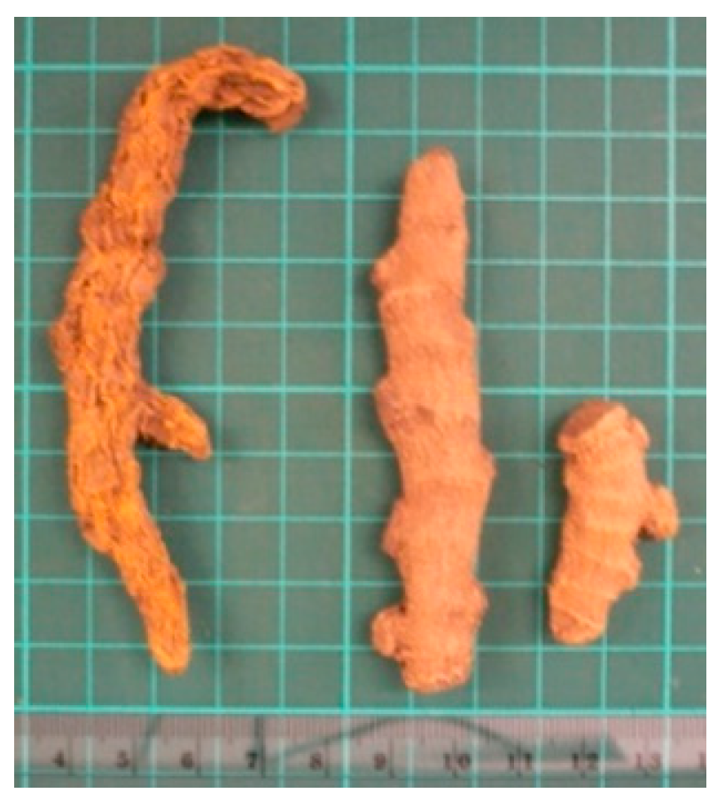 Molecules 26 02173 i007