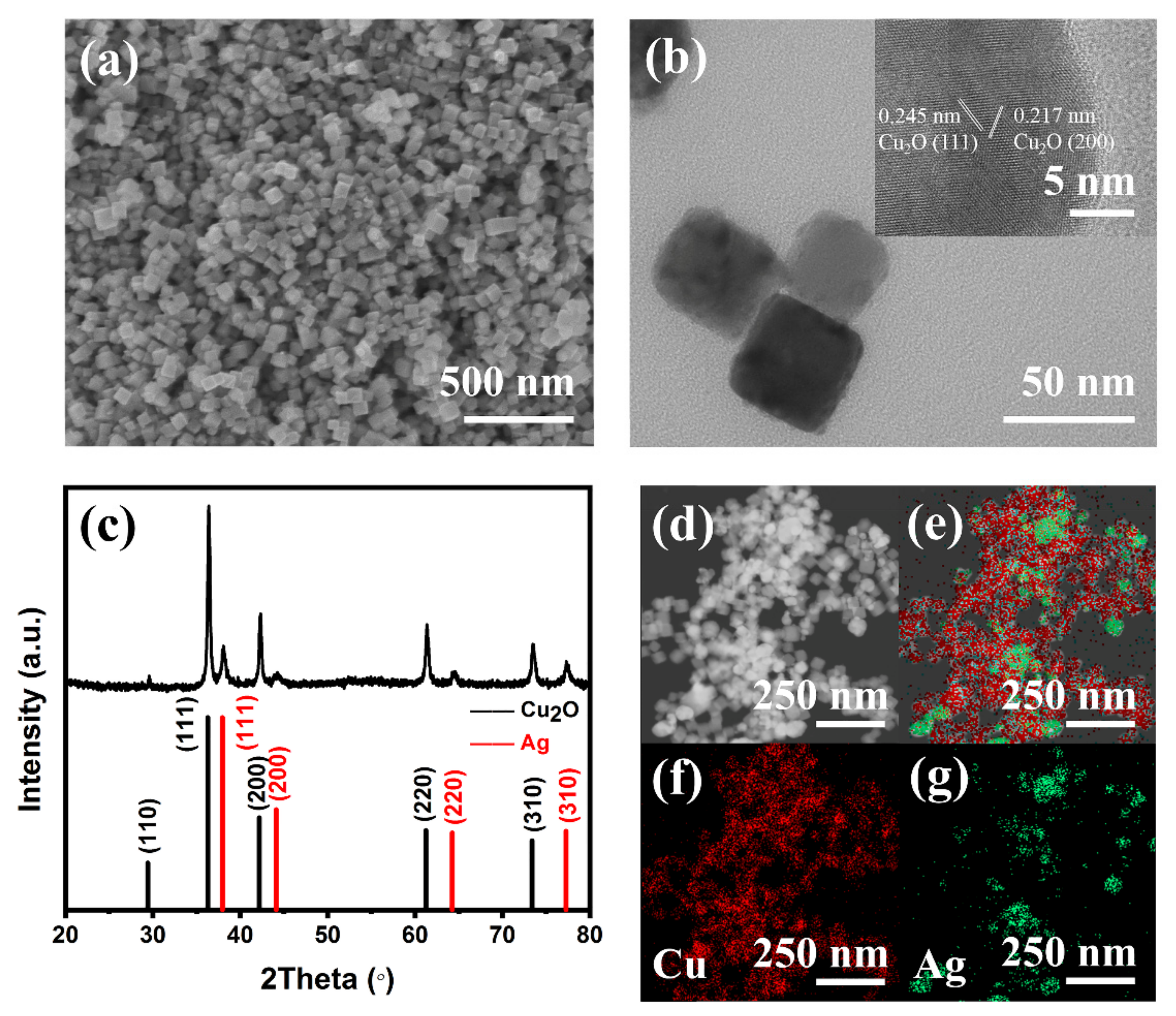 Molecules 26 02175 g001