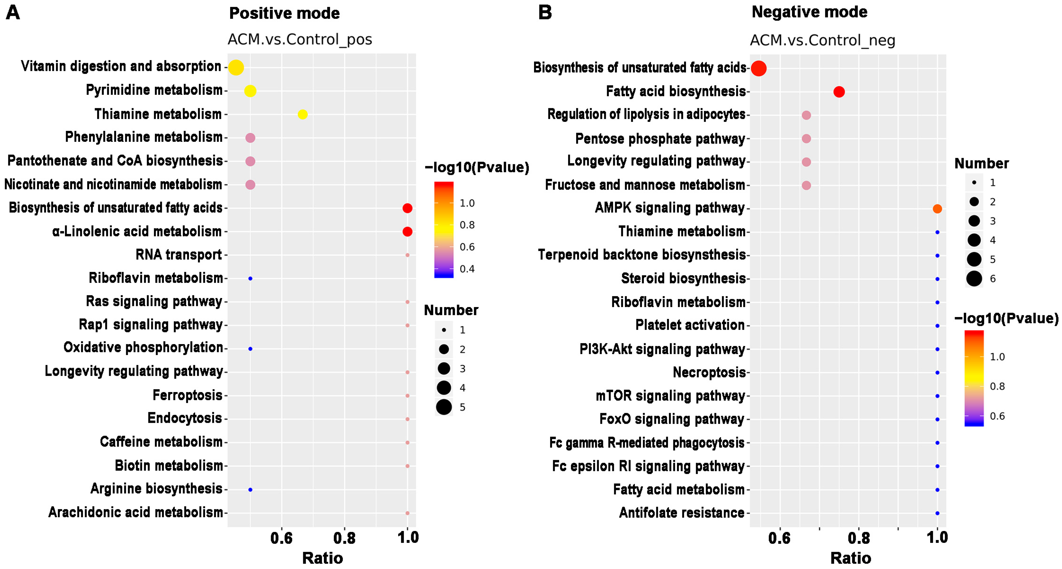 Molecules 26 02177 g007