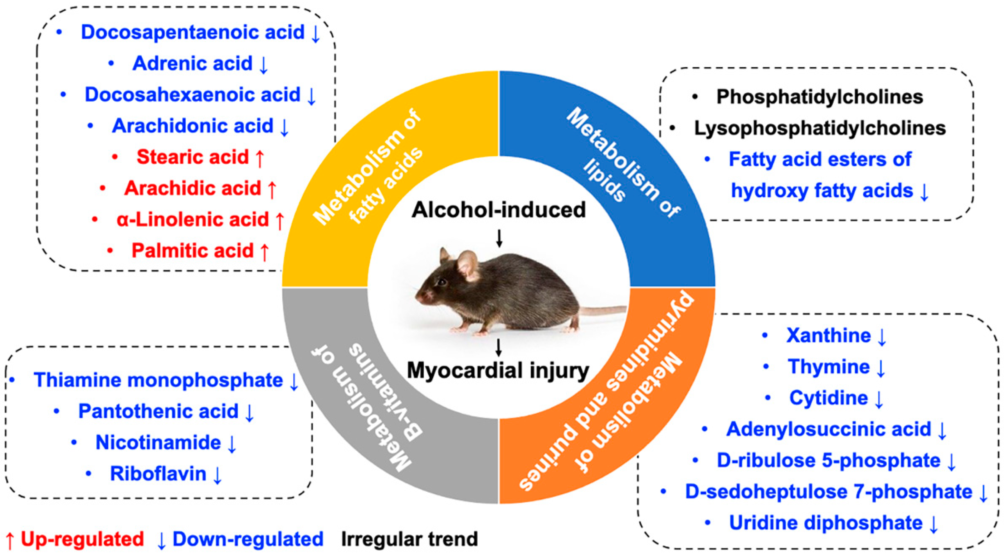 Molecules 26 02177 g008