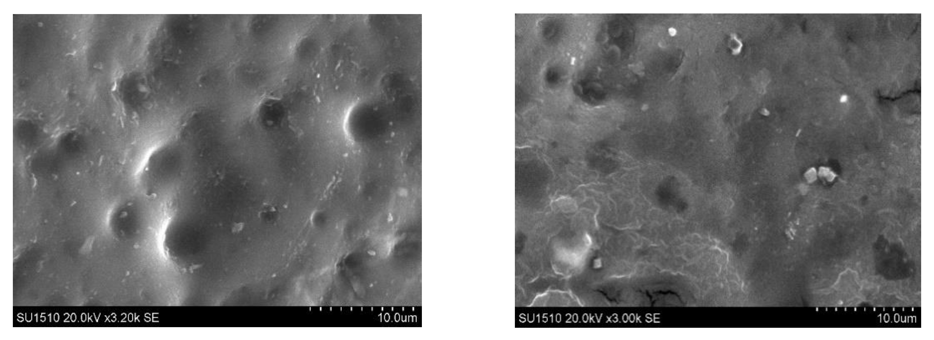 Molecules 26 02185 g007b
