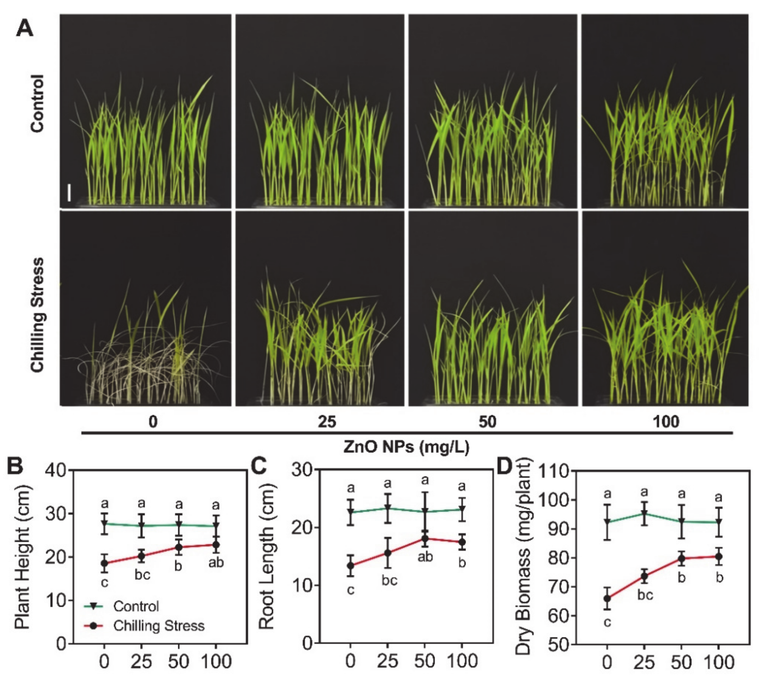 Molecules 26 02196 g002 Molecules 26 02196 g002