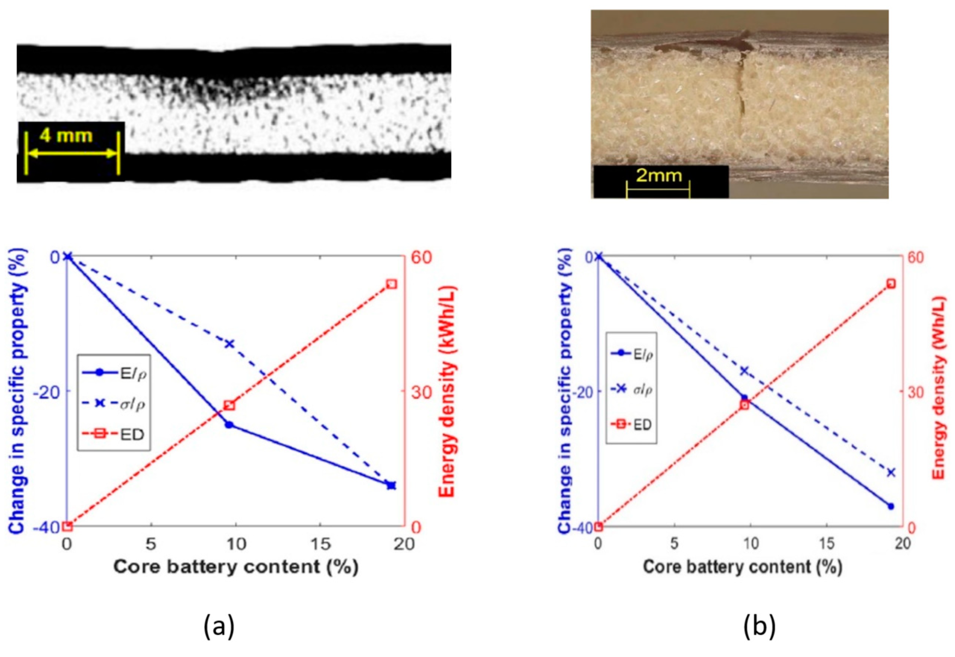 Molecules 26 02203 g013