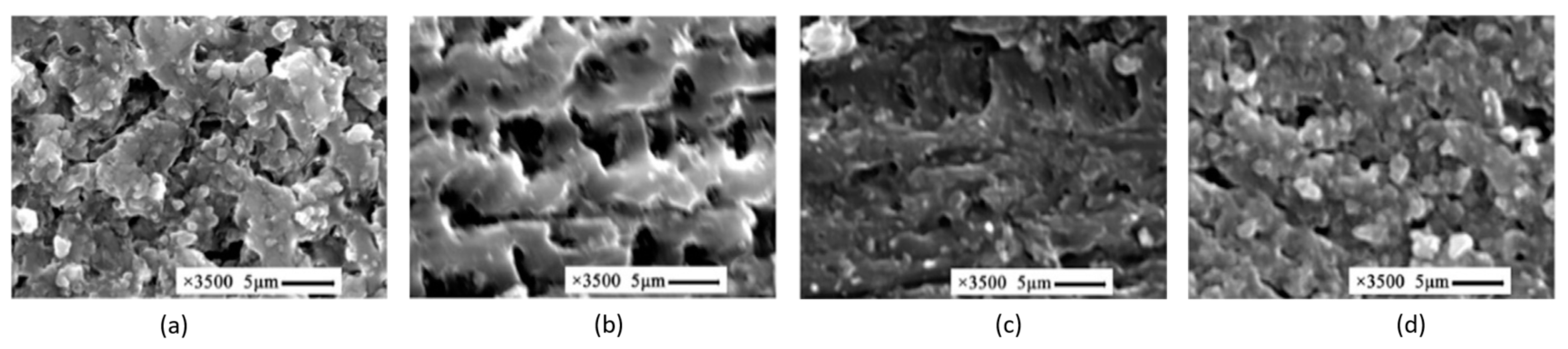 Molecules 26 02203 g022
