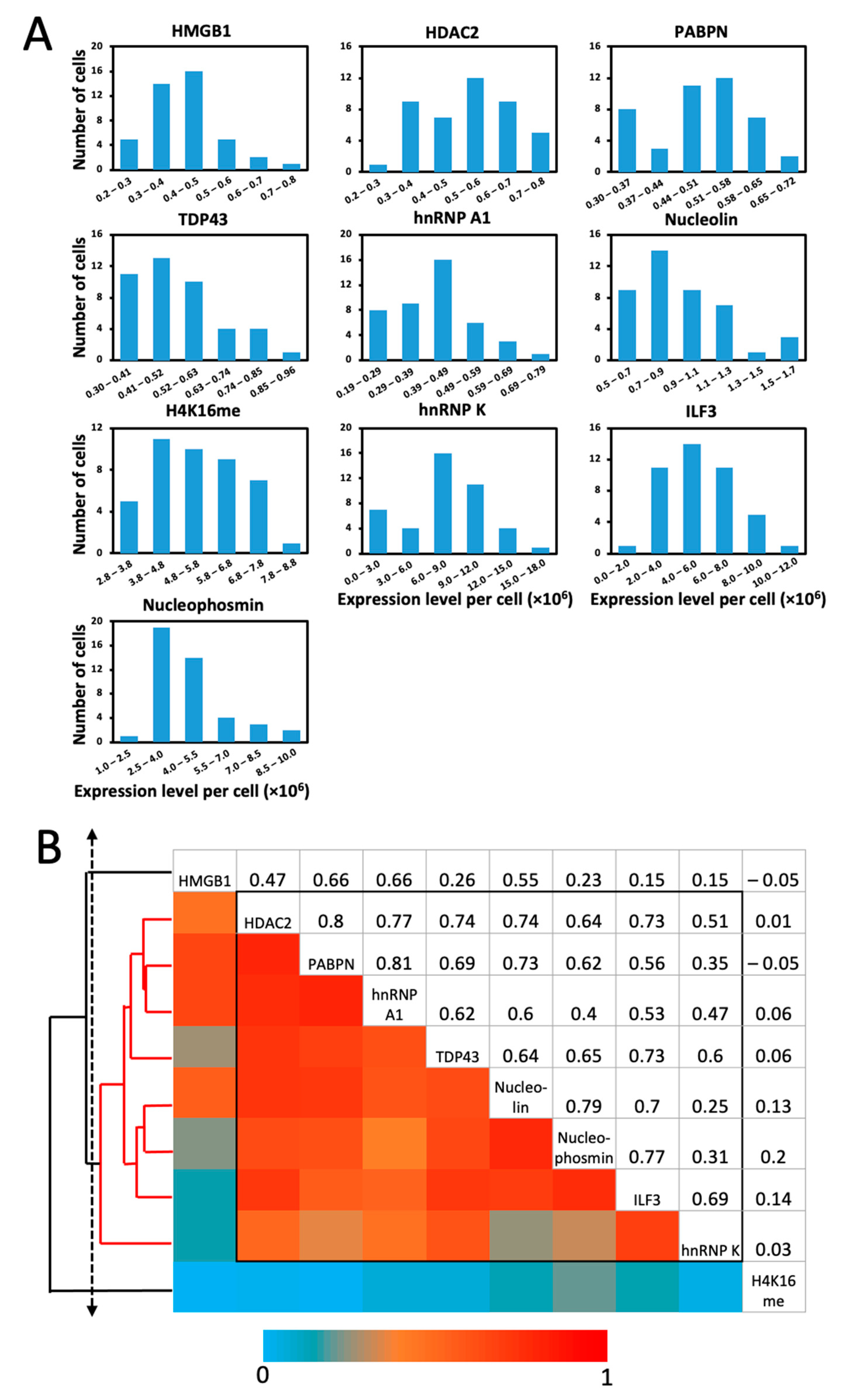 Molecules 26 02206 g007