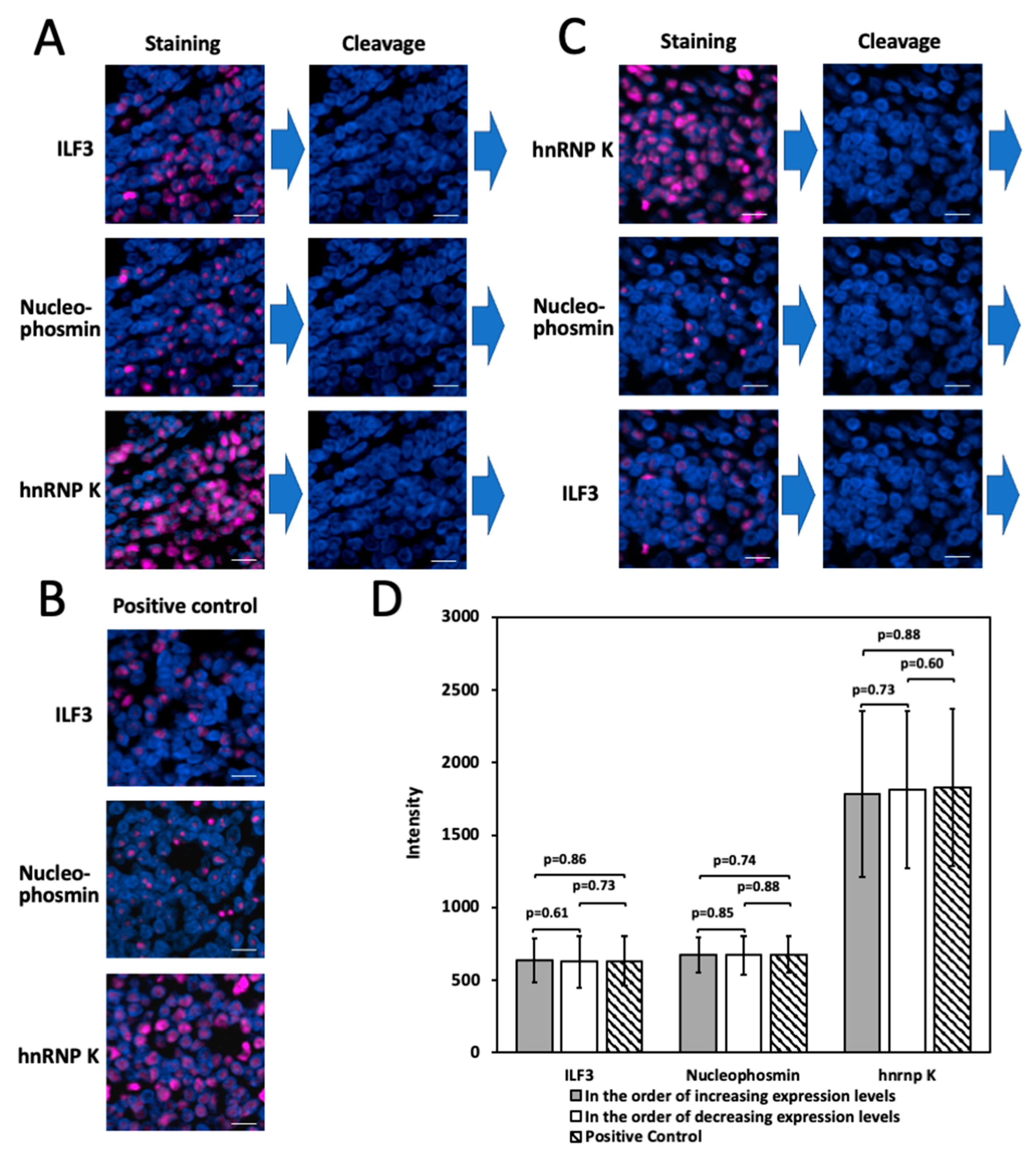 Molecules 26 02206 g008