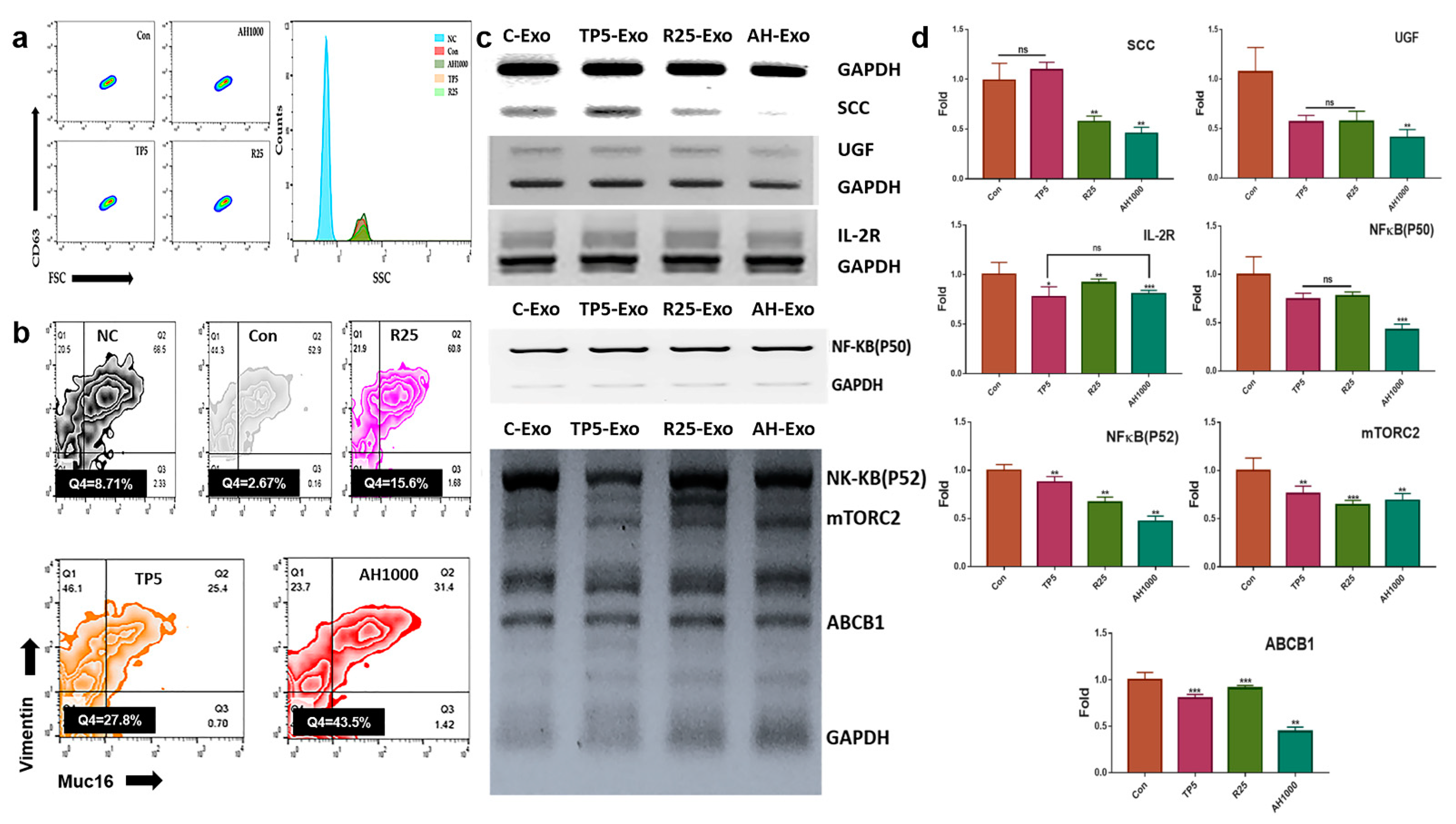 Molecules 26 02207 g003 Molecules 26 02207 g003