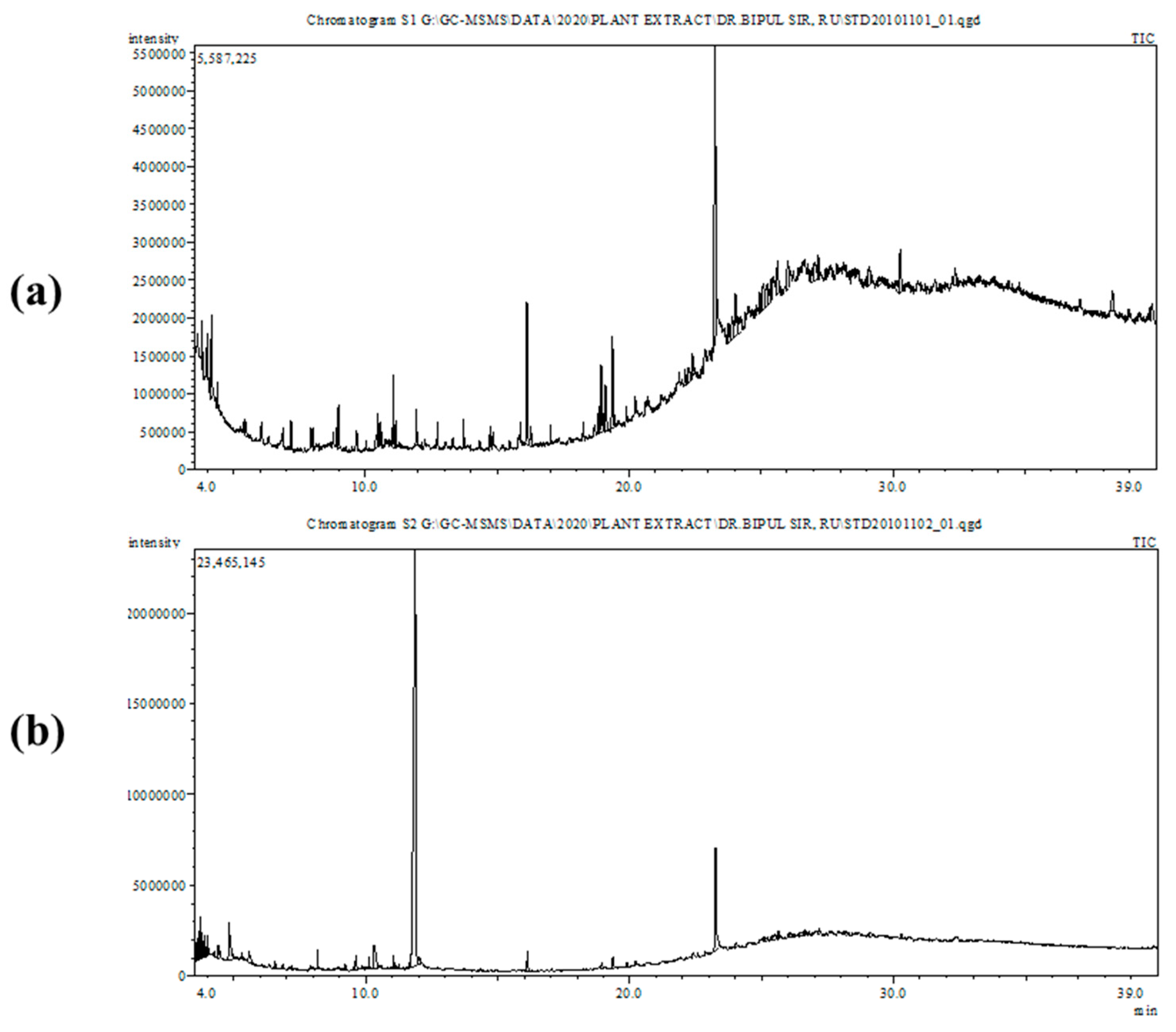 Molecules 26 02210 g002 Molecules 26 02210 g002