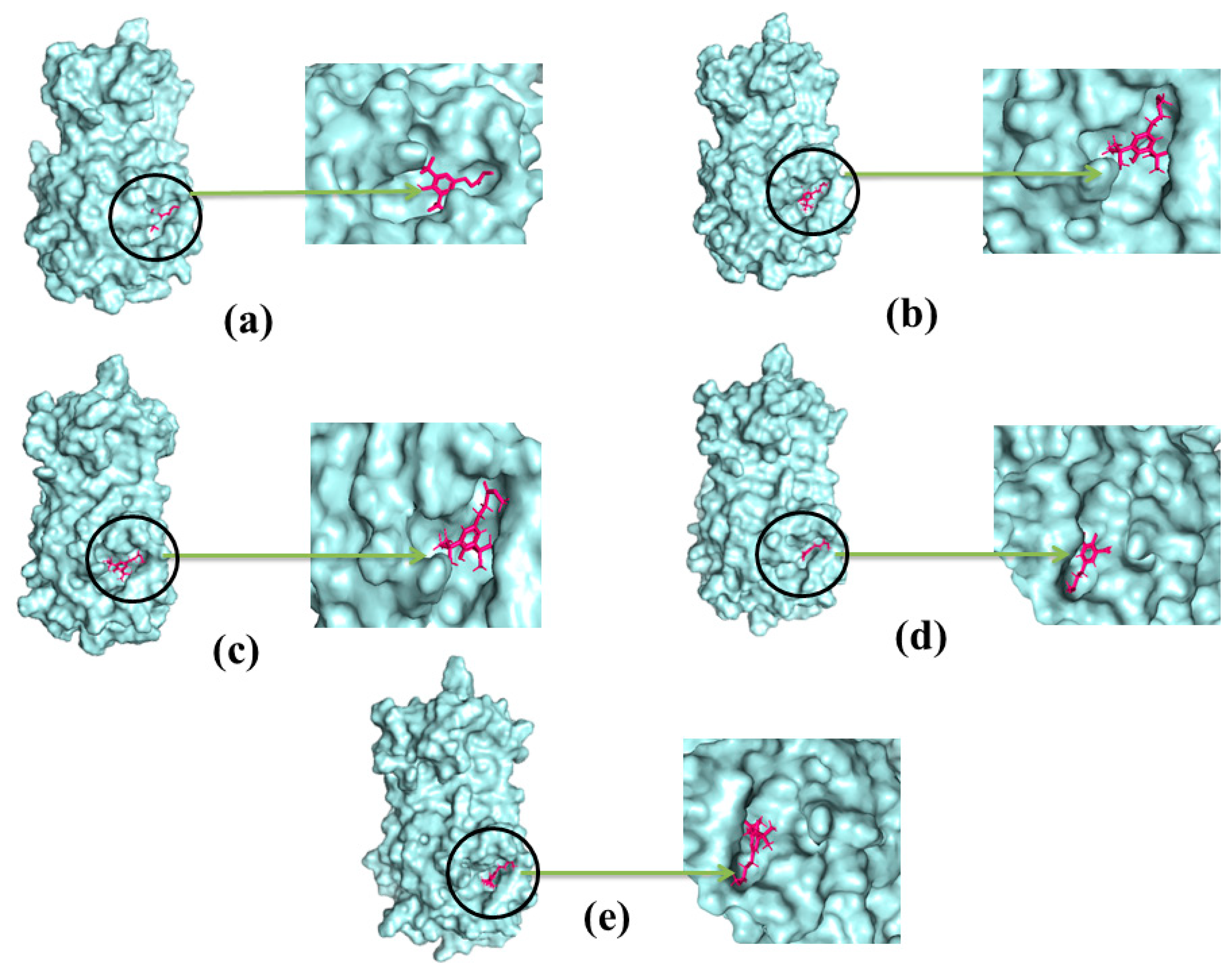 Molecules 26 02210 g008 Molecules 26 02210 g008