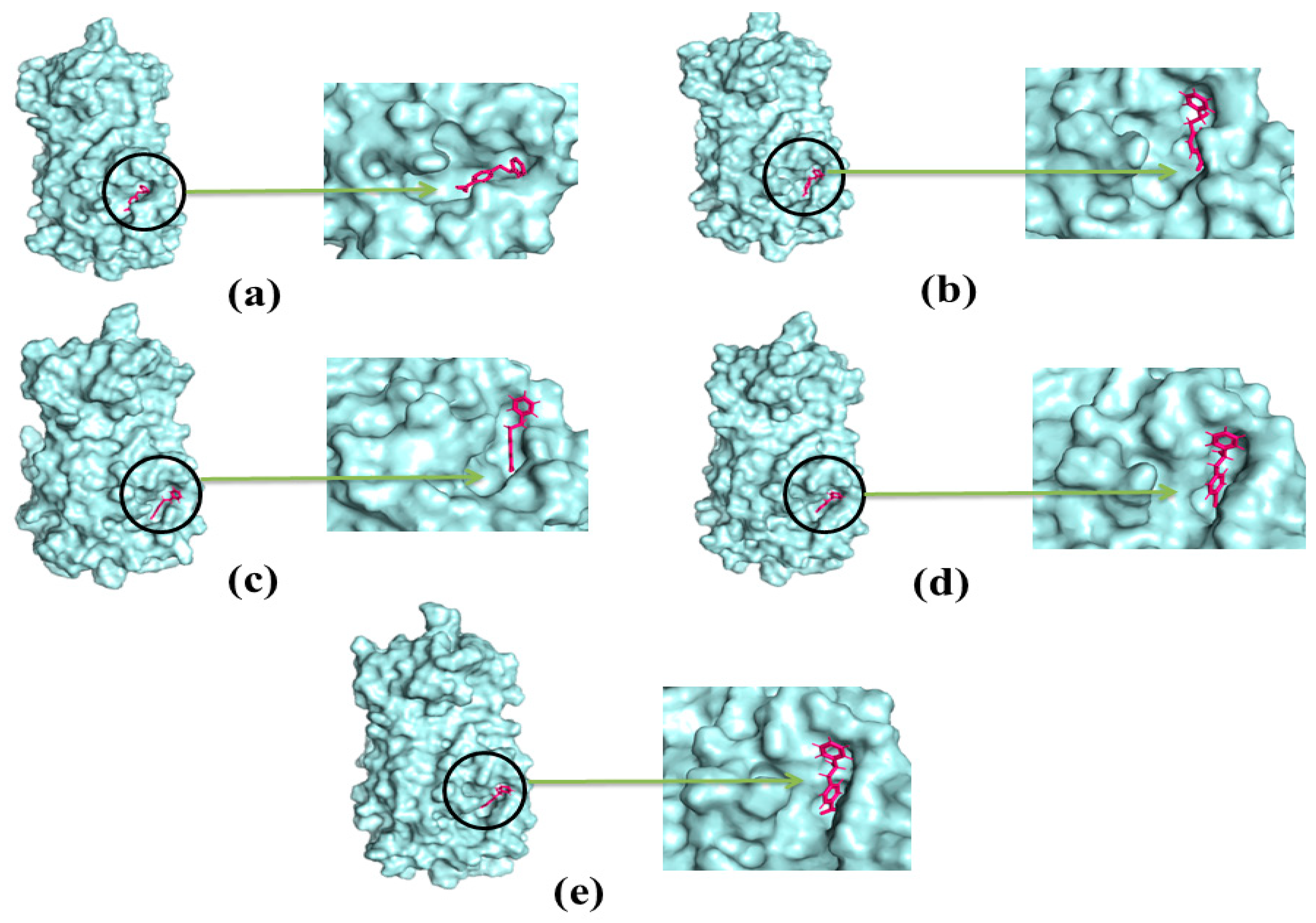 Molecules 26 02210 g010 Molecules 26 02210 g010
