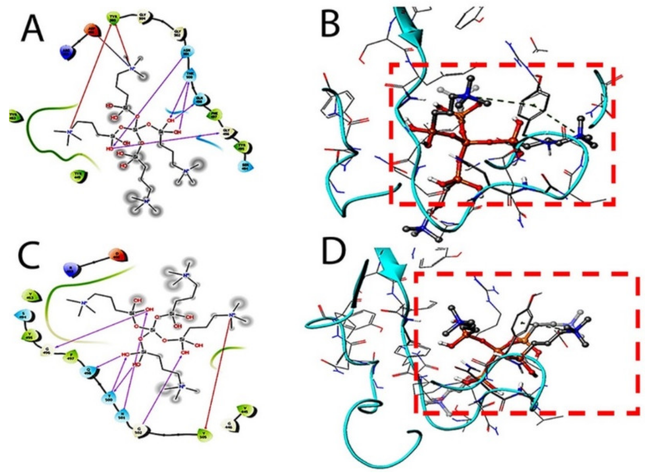 Molecules 26 02214 g003
