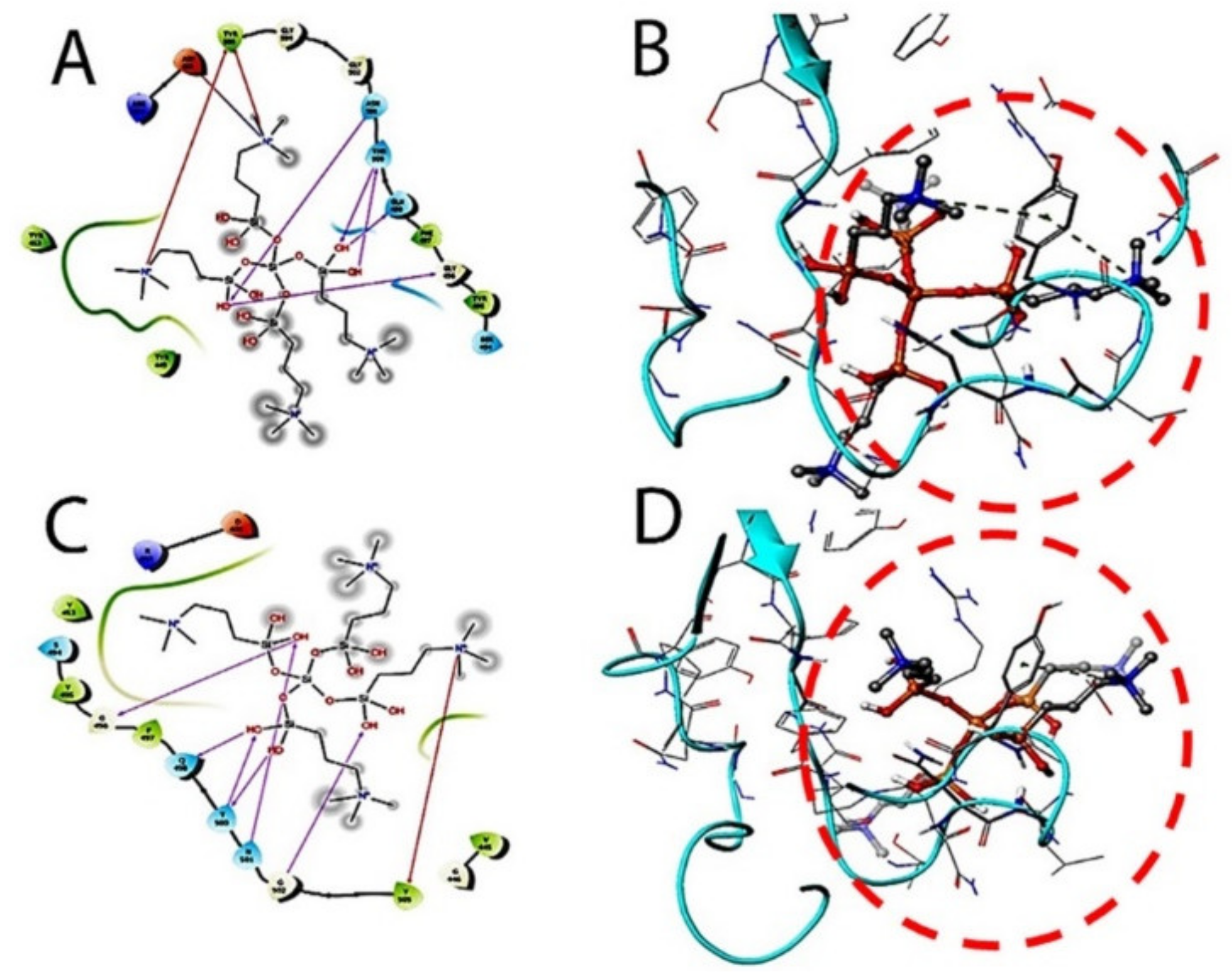 Molecules 26 02214 g004