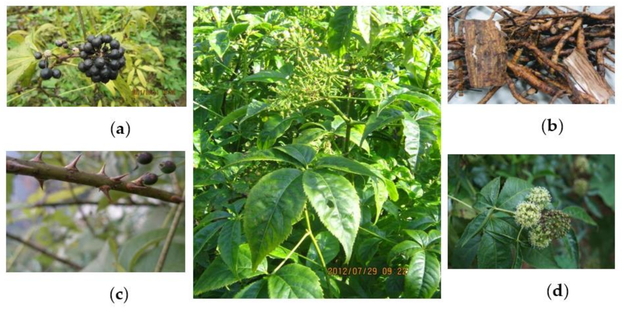 Molecules 26 02215 g002 Molecules 26 02215 g002