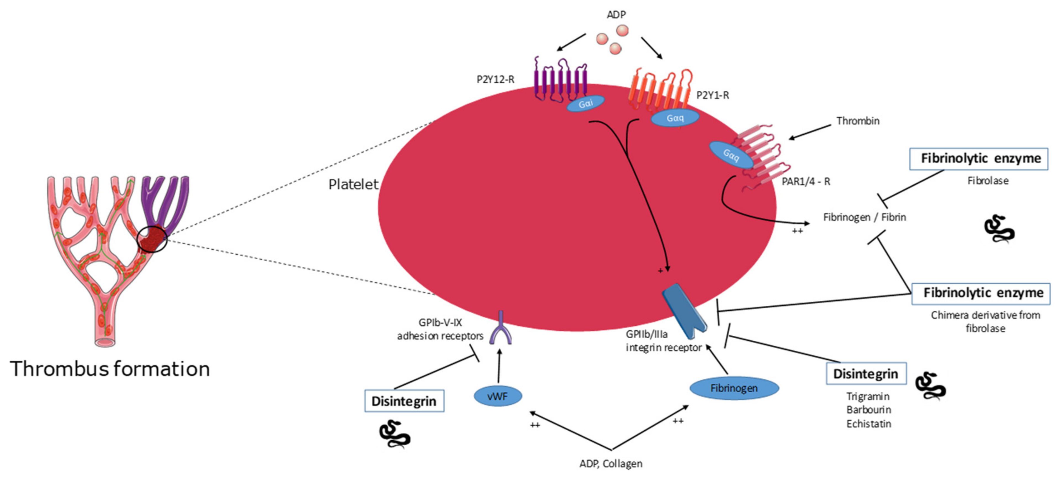 Molecules 26 02223 g002 Molecules 26 02223 g002